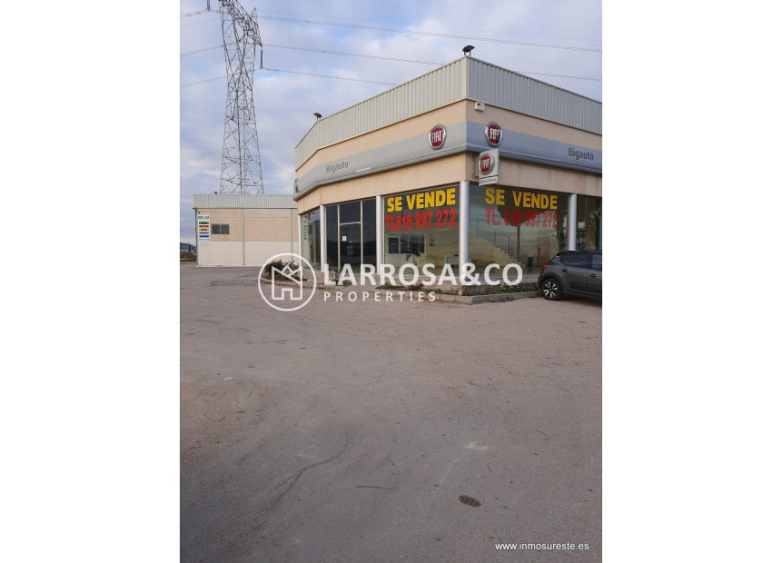 Resale - Industrial Field - Orihuela - Correntías Bajas
