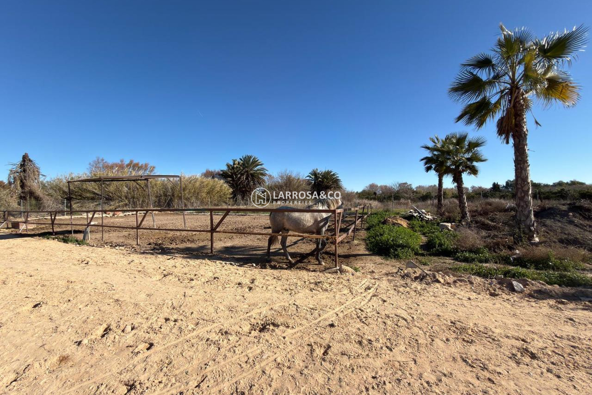 Resale - Land - Algorfa - Inland