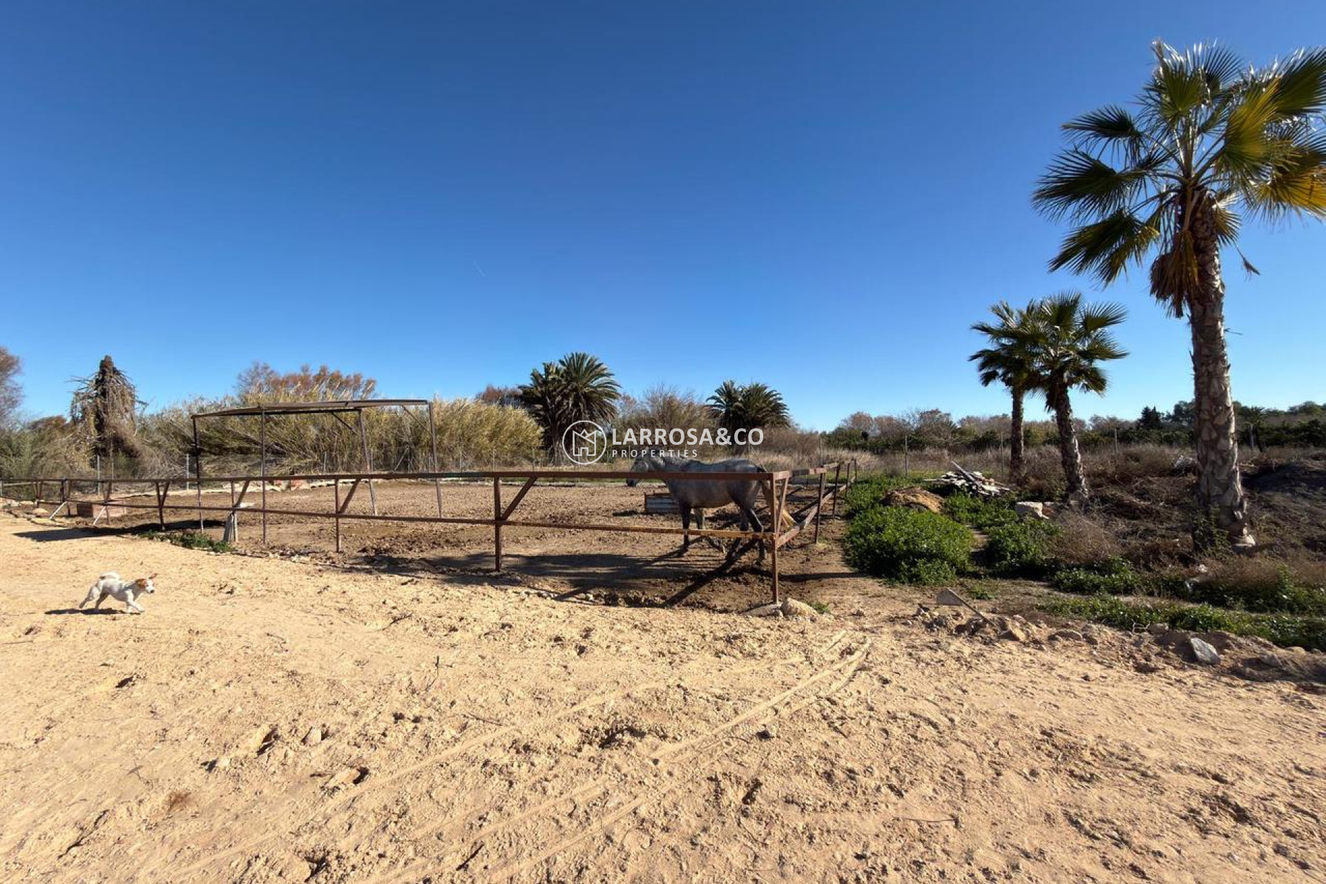 Resale - Land - Algorfa - Inland