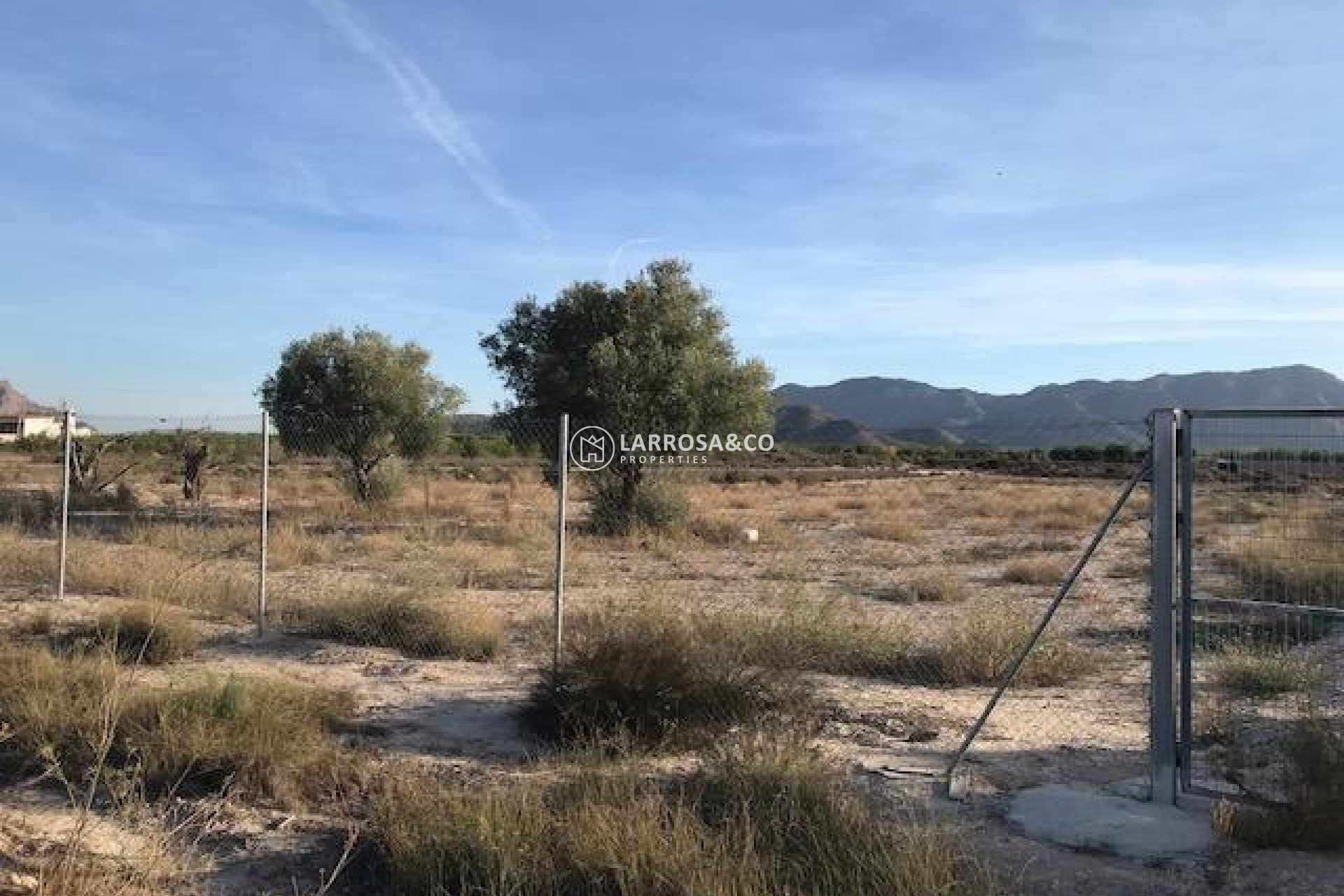 Resale - Land/Plots - Benferri - Campo