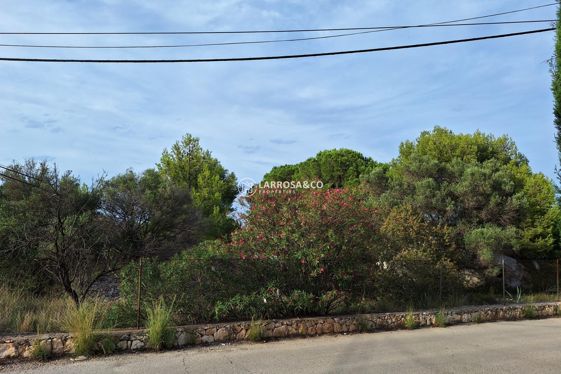 Resale - Land/Plots - Denia - Santa Lucia