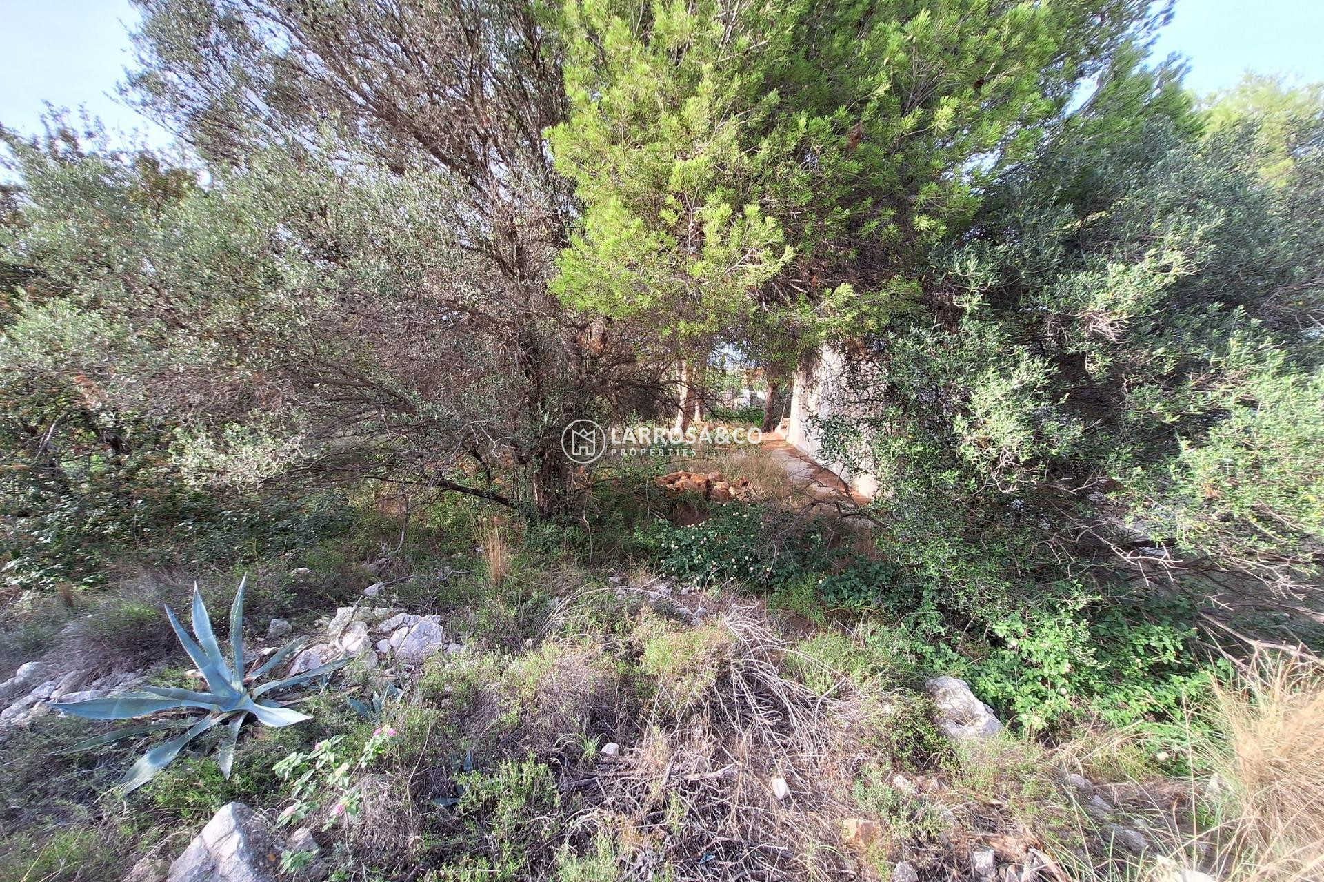 Resale - Land/Plots - Denia - Santa Lucia