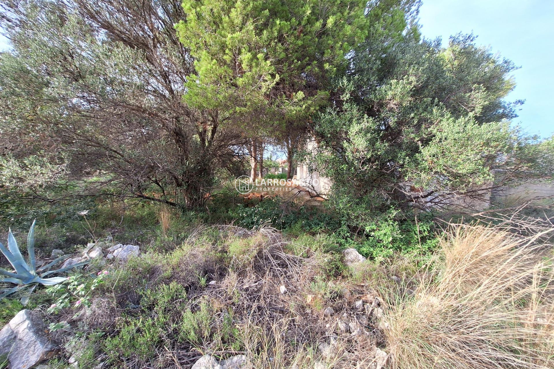 Resale - Land/Plots - Denia - Santa Lucia