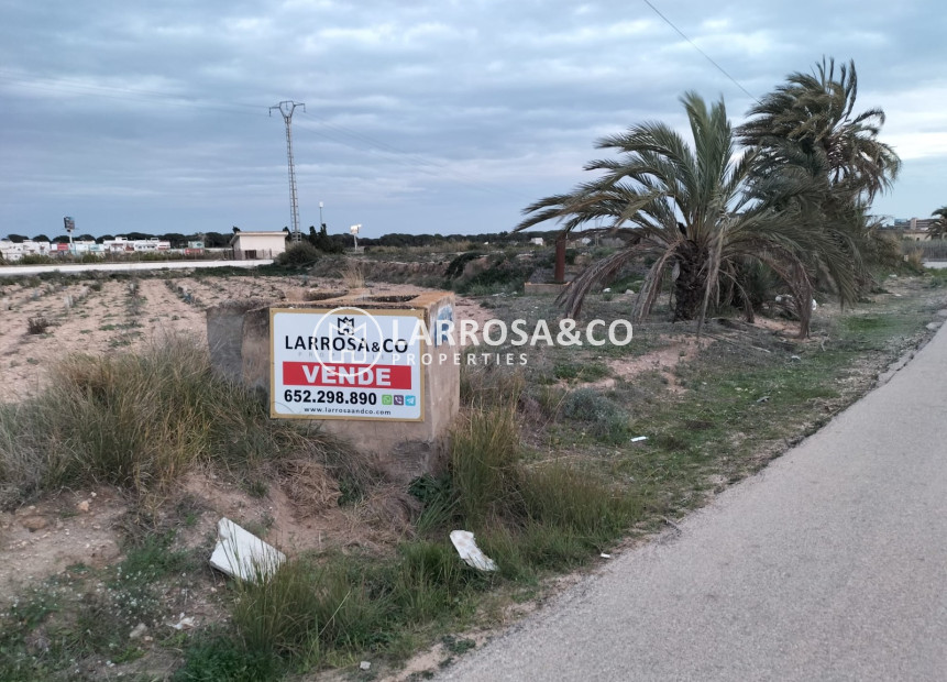Resale - Land/Plots - Guardamar del Segura - El Campo