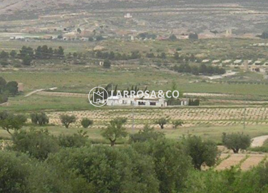 Resale - Land/Plots - Jumilla - CAÑADA DEL TRIGO