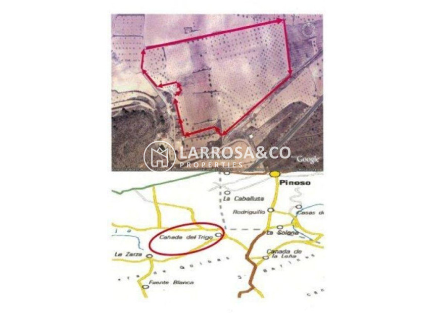 Resale - Land/Plots - Jumilla - CAÑADA DEL TRIGO