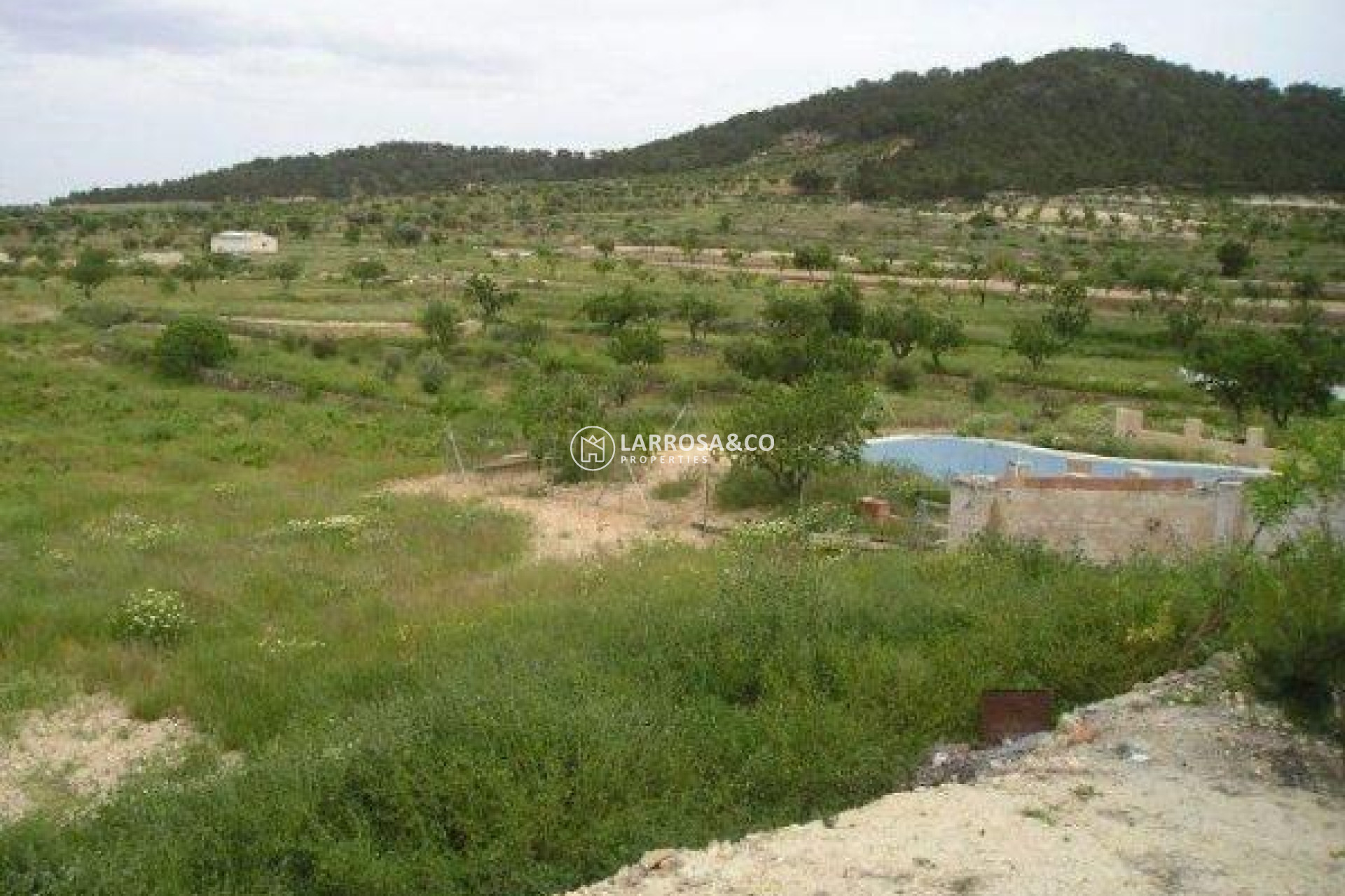 Resale - Land/Plots - Jumilla - CAÑADA DEL TRIGO