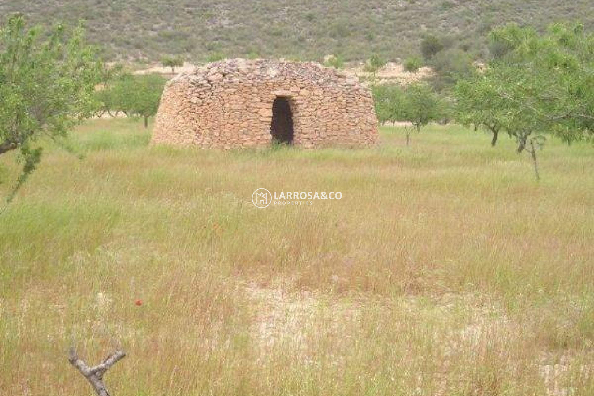 Resale - Land/Plots - Jumilla - CAÑADA DEL TRIGO