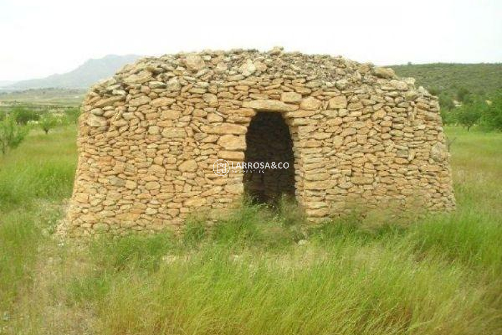 Resale - Land/Plots - Jumilla - CAÑADA DEL TRIGO