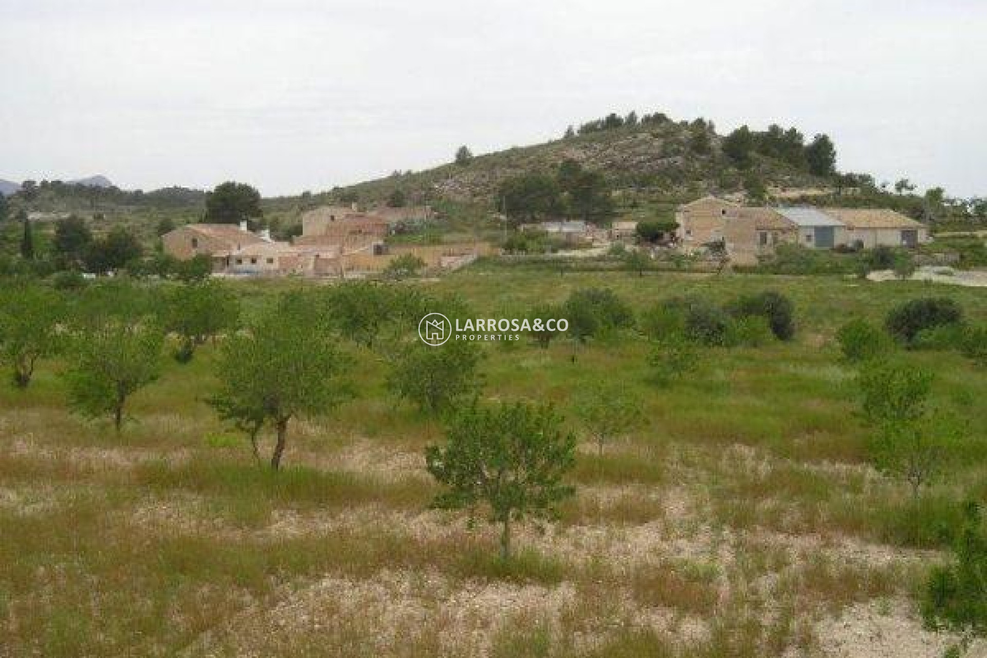 Resale - Land/Plots - Jumilla - CAÑADA DEL TRIGO