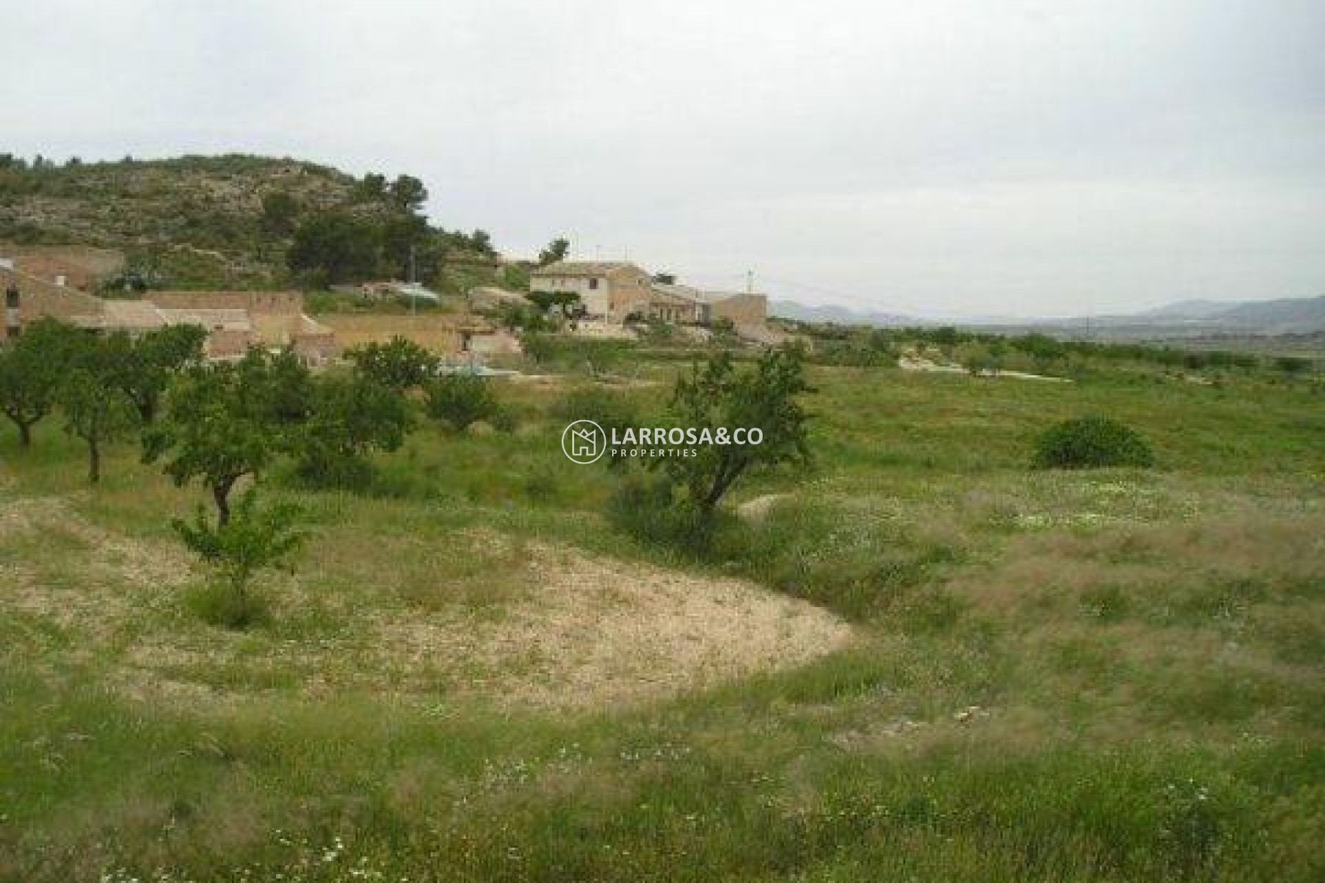 Resale - Land/Plots - Jumilla - CAÑADA DEL TRIGO