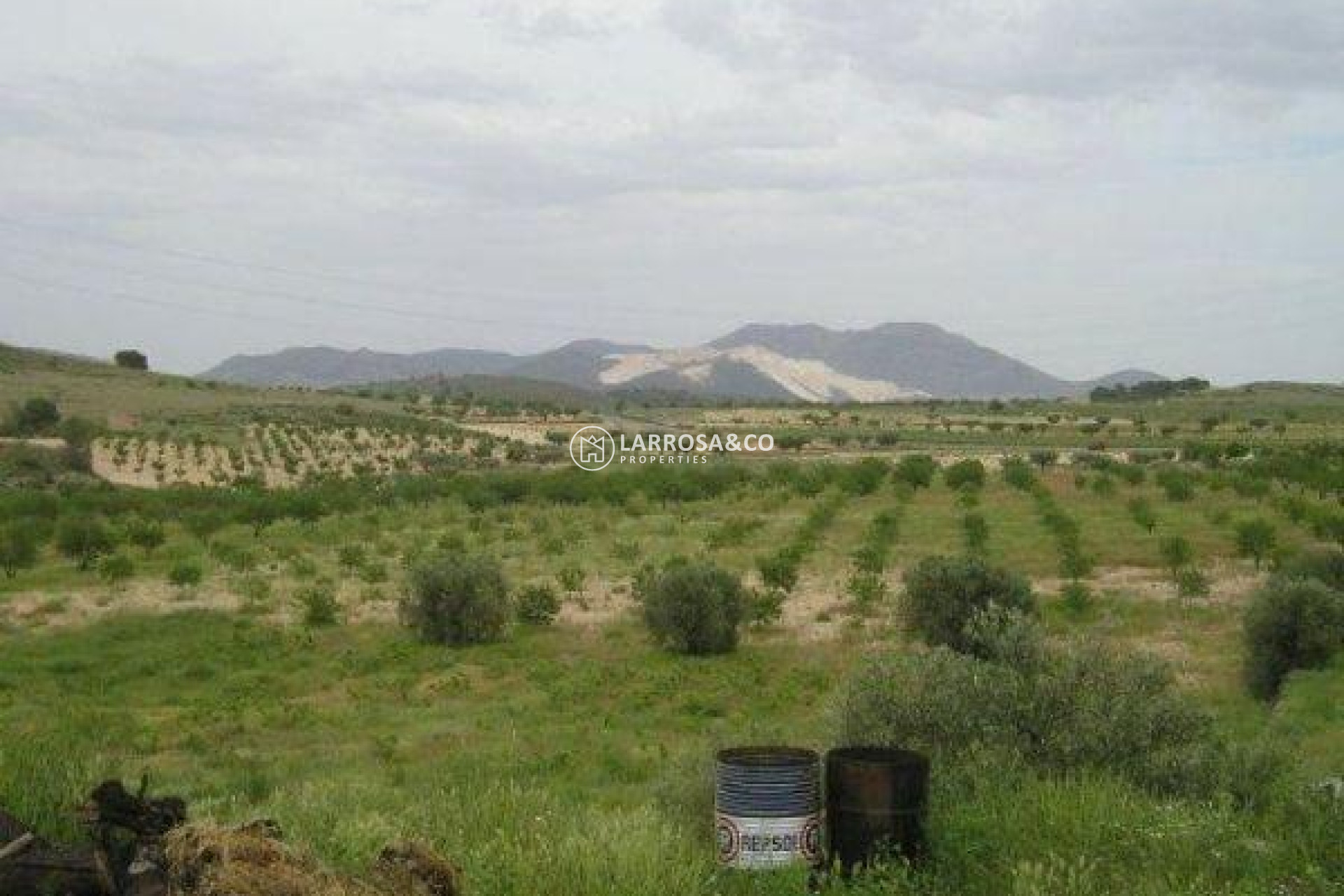 Resale - Land/Plots - Jumilla - CAÑADA DEL TRIGO