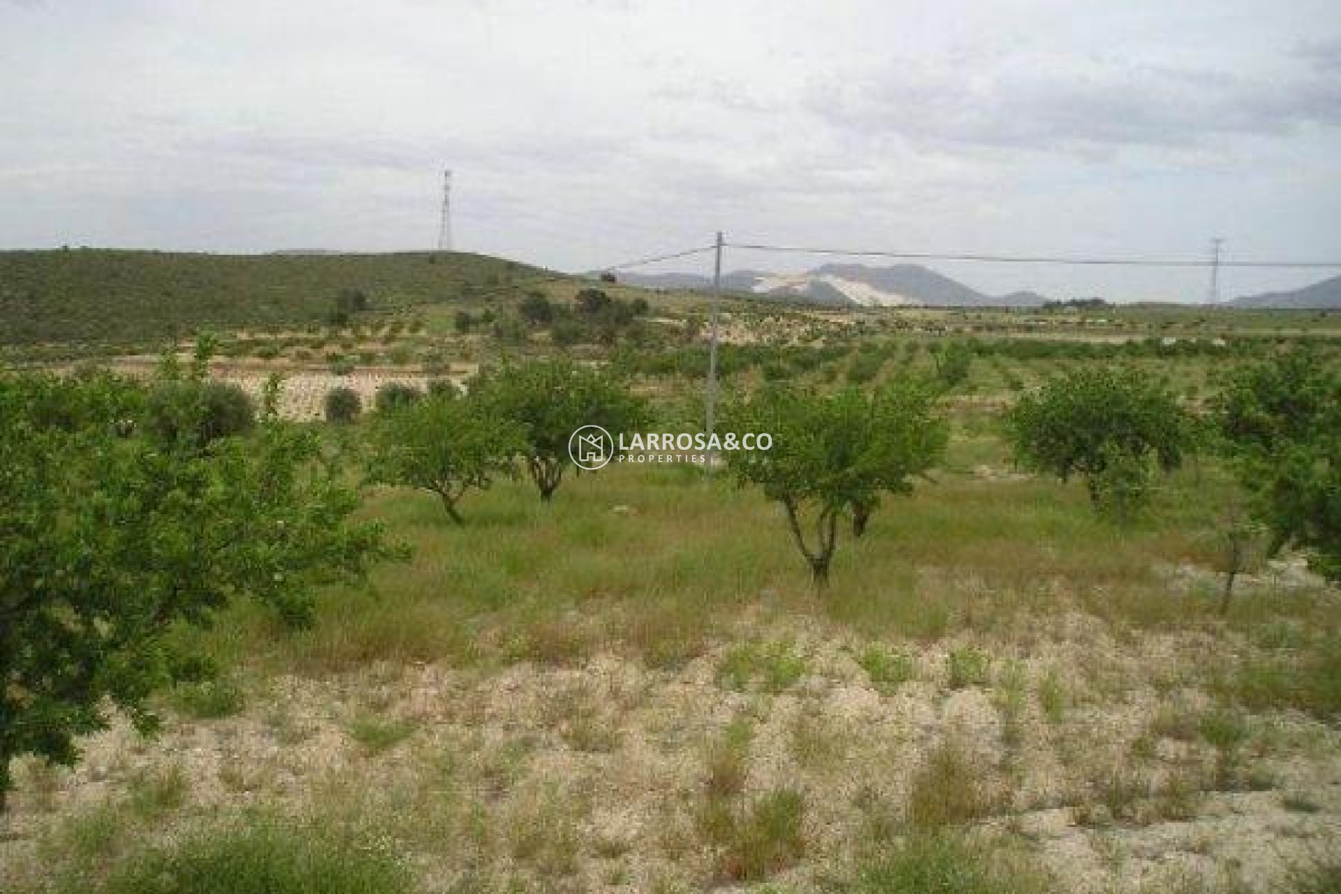 Resale - Land/Plots - Jumilla - CAÑADA DEL TRIGO