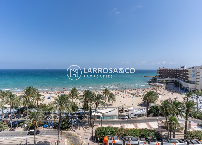 Resale - Penthouse  - Alicante - Costa Blanca