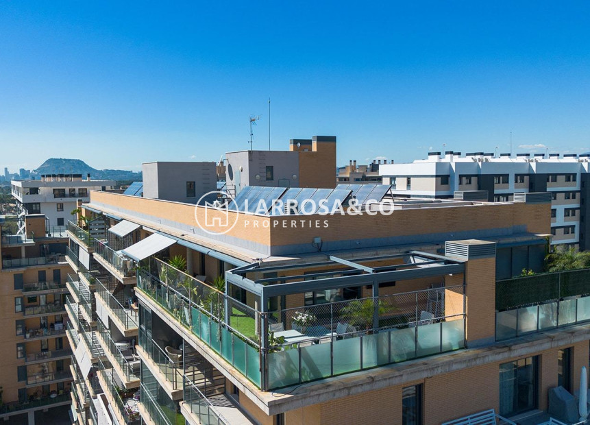 Resale - Penthouse  - Alicante - Pau 5