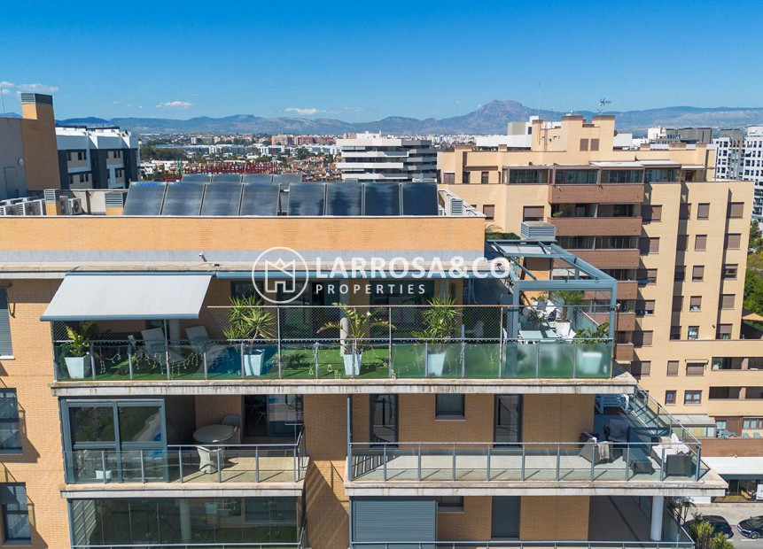 Resale - Penthouse  - Alicante - Pau 5
