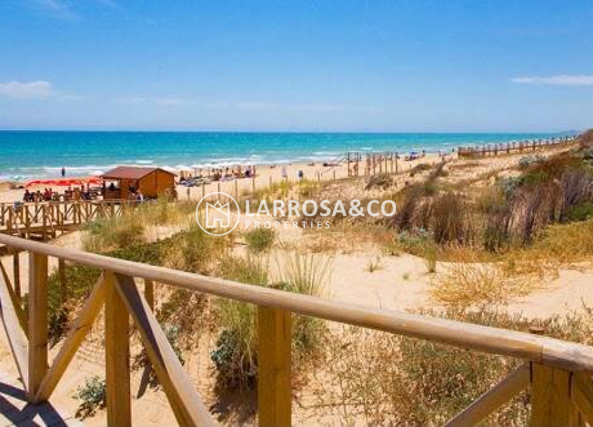 Resale - Penthouse  - Guardamar del Segura - Costa Blanca