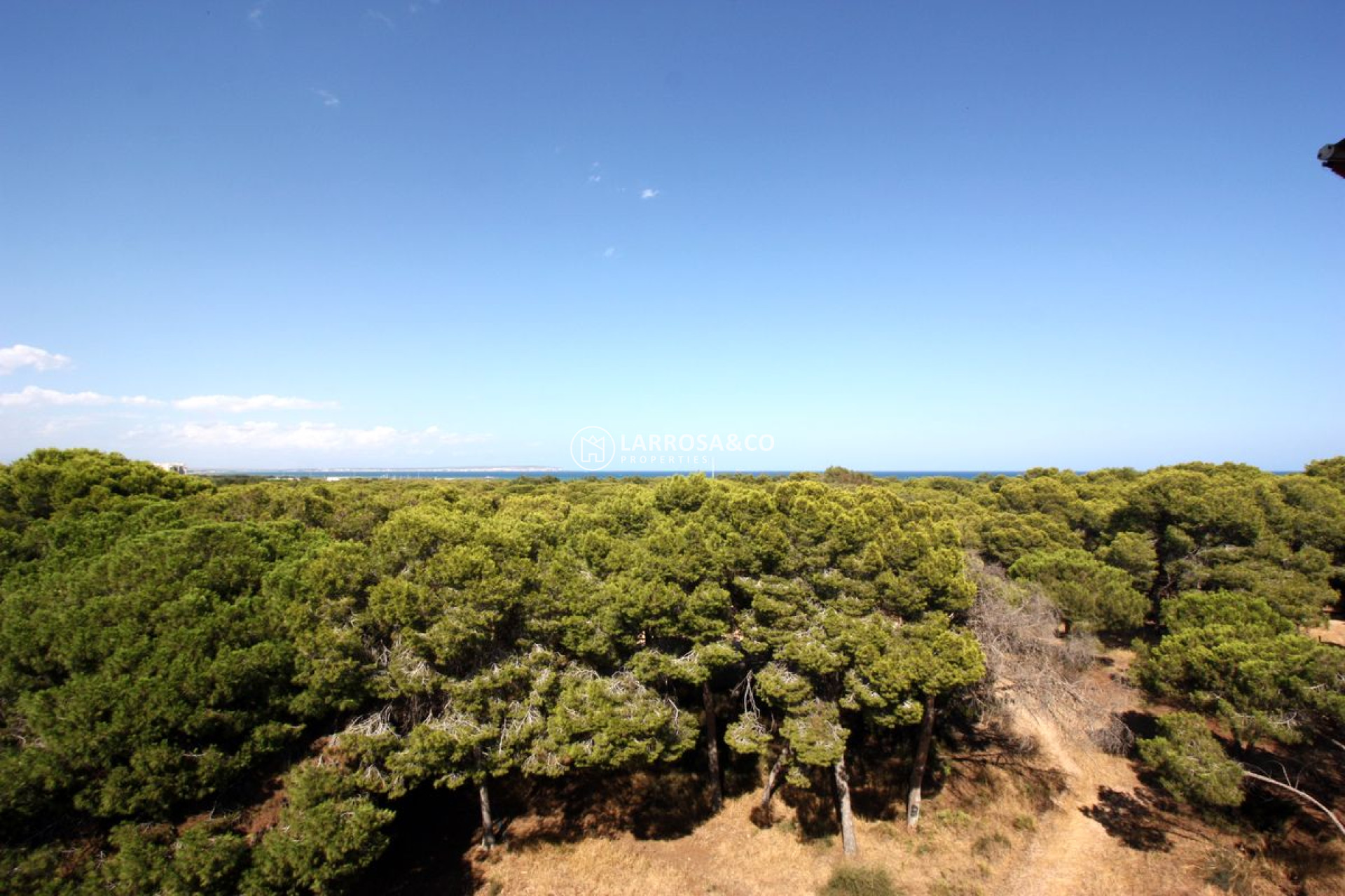 Resale - Penthouse  - Guardamar del Segura - Pinada