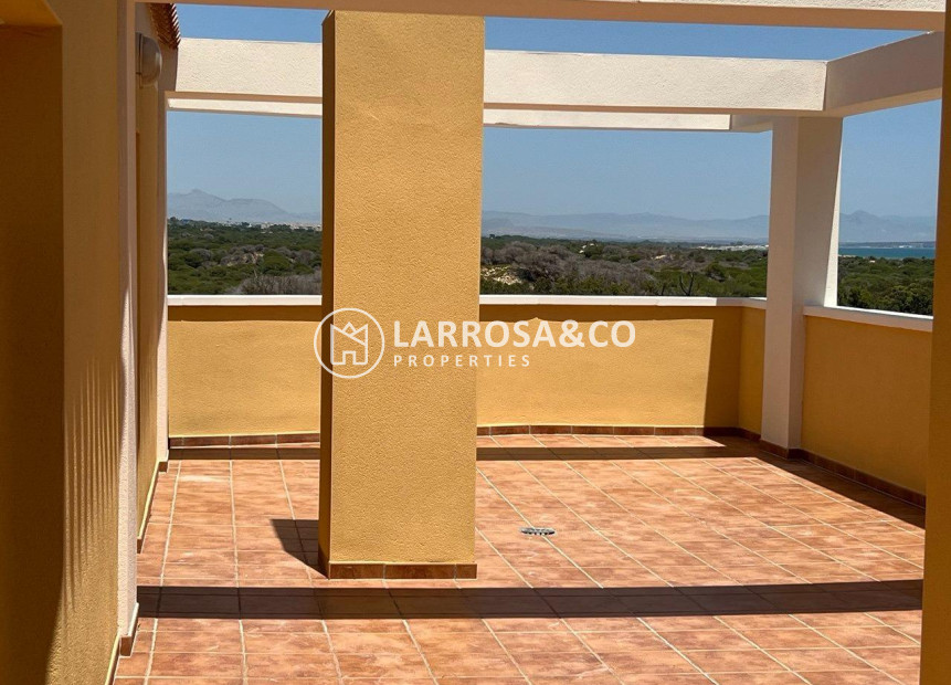 Resale - Penthouse  - Guardamar del Segura - puerto deportivo