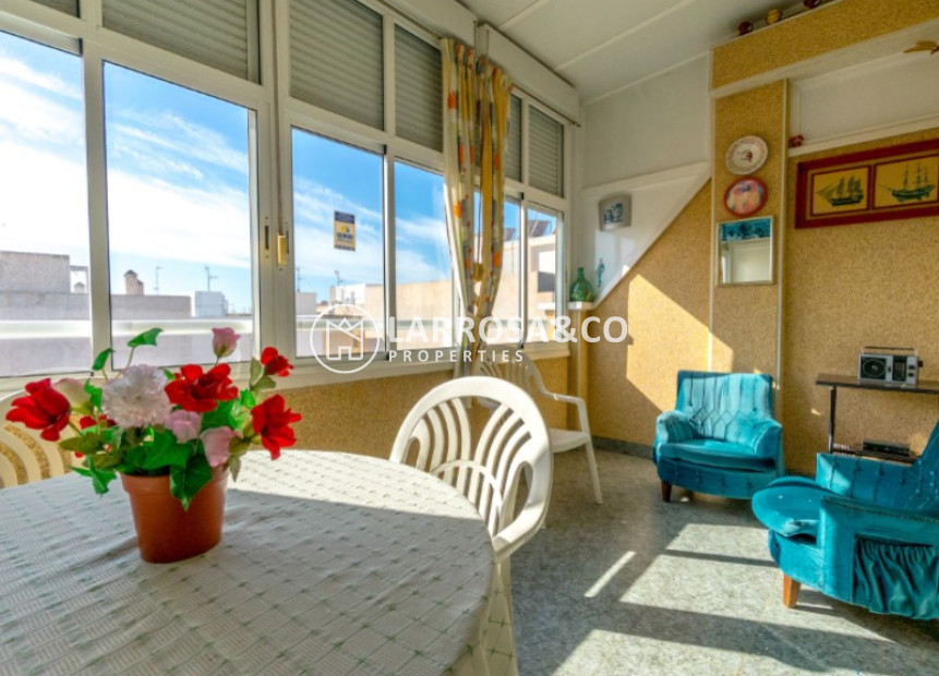 Resale - Penthouse Penthouse - Torrevieja - Costa Blanca
