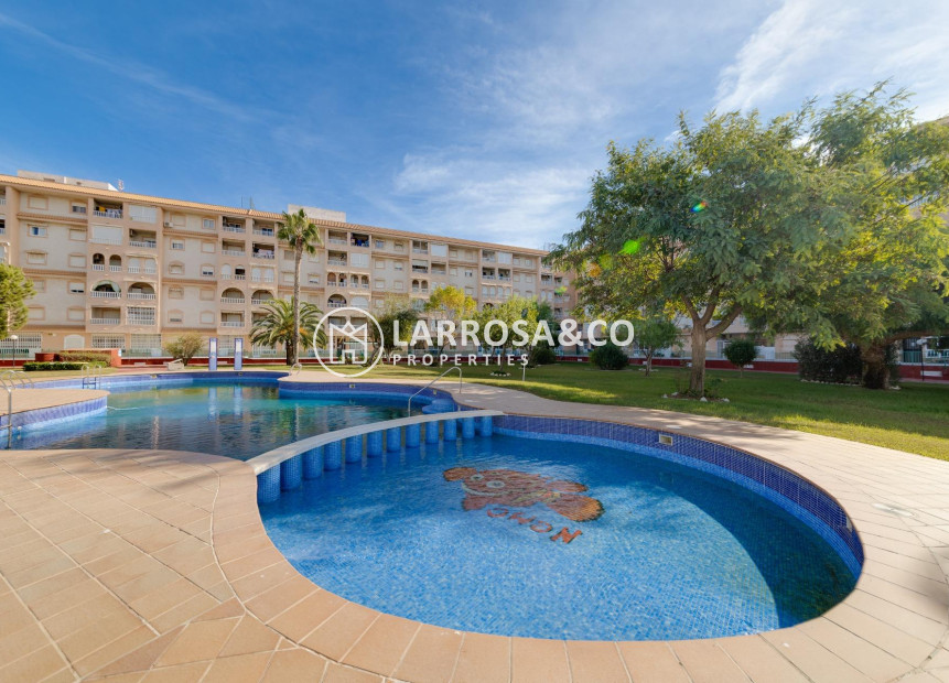 Resale - Penthouse  - Torrevieja - Centro