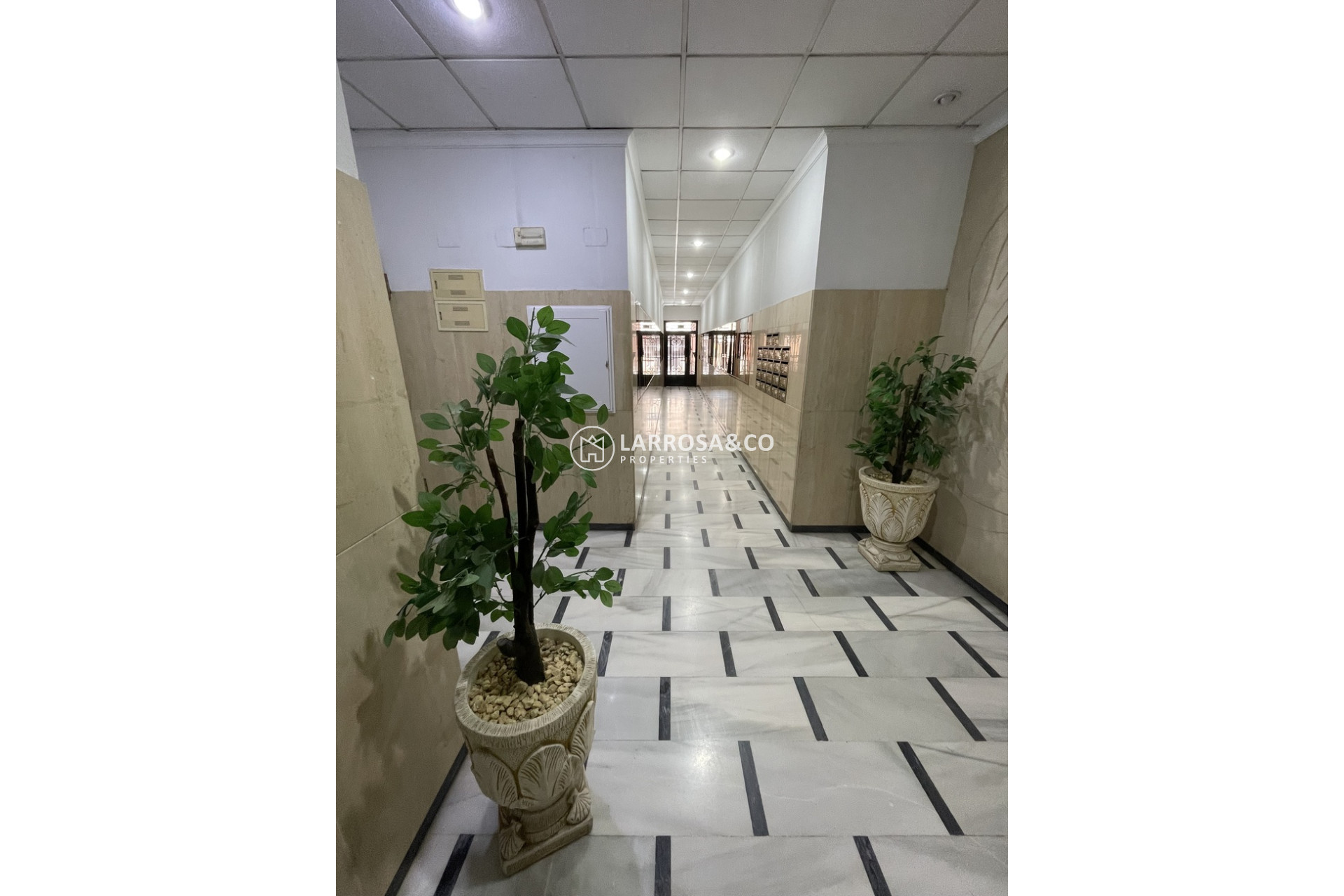 Resale - Penthouse  - Torrevieja - Playa de cura