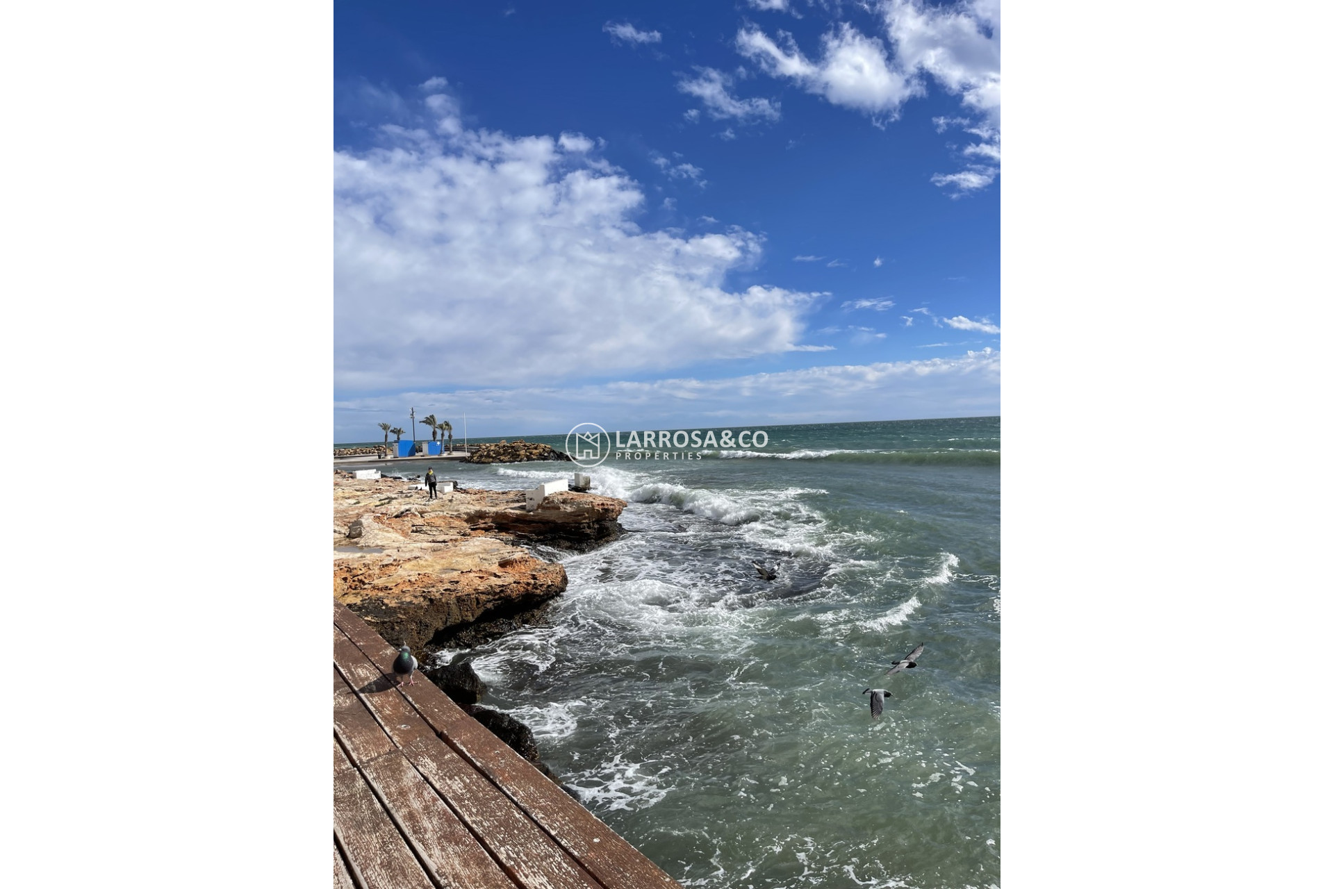 Resale - Penthouse  - Torrevieja - Playa de cura