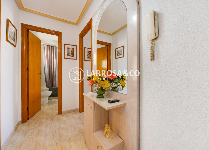 Resale - Penthouse  - Torrevieja - Playa del Acequión