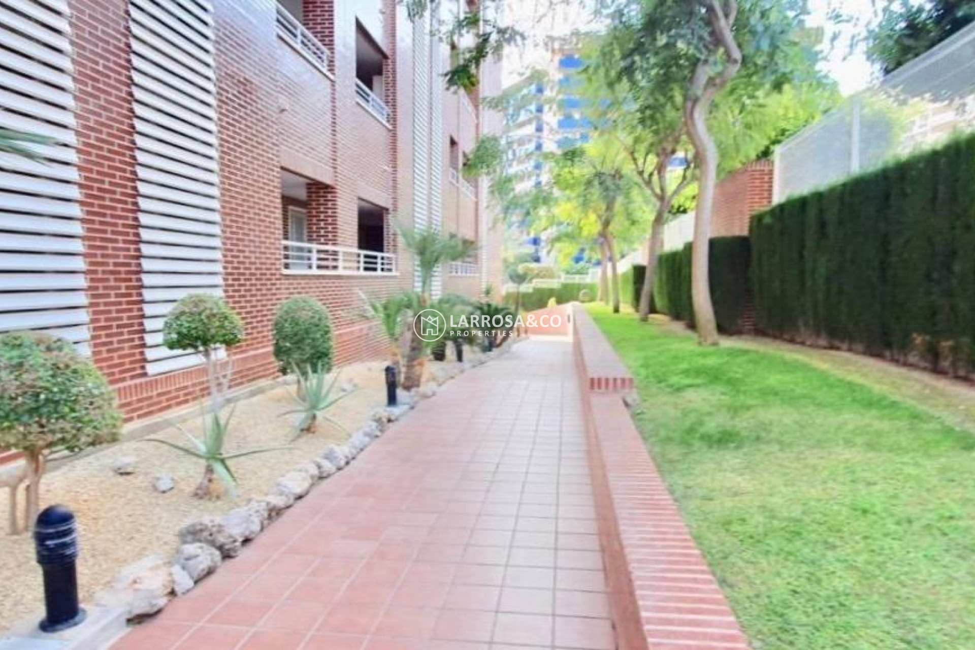 Resale - Penthouse  - Villajoyosa - Cala Villajoyosa