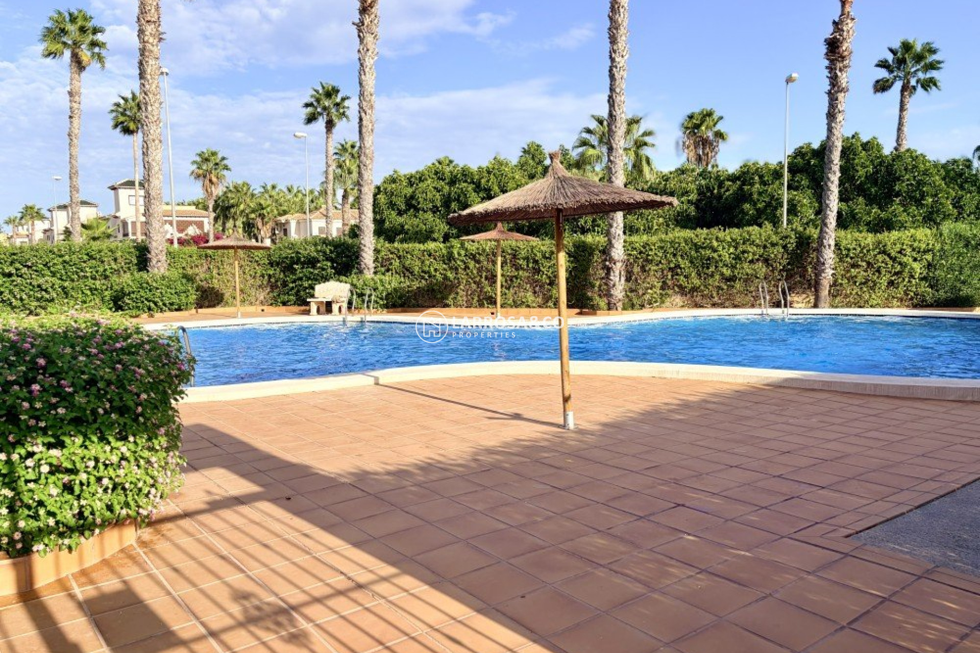 Resale - Semi-detached house - Ciudad Quesada - Costa Blanca