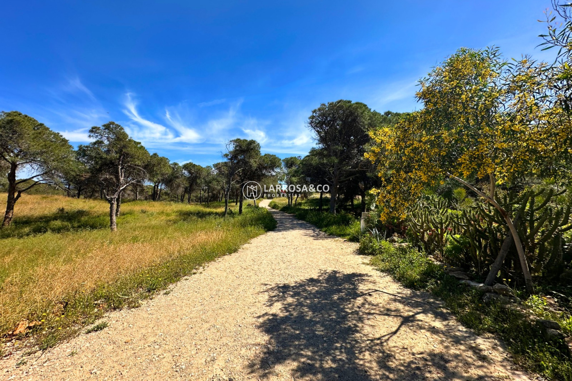 Resale - Semi-detached house - Guardamar del Segura - Costa Blanca