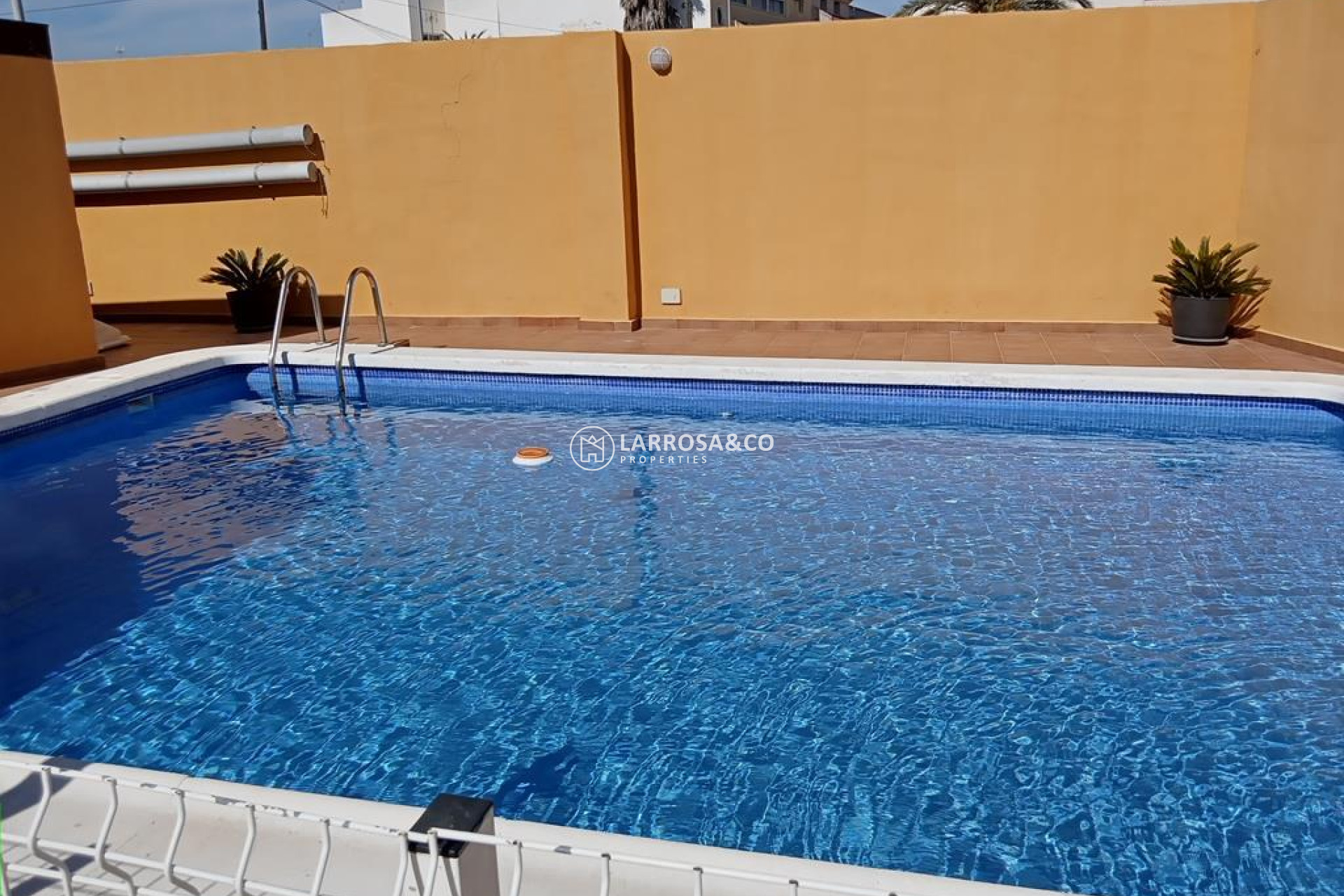 Resale - Semi-detached house - Los Montesinos - PUEBLO CENTRO