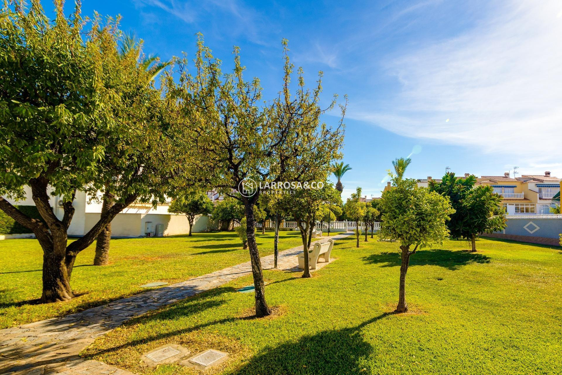 Resale - Semi-detached house - Torrevieja - Carrefour