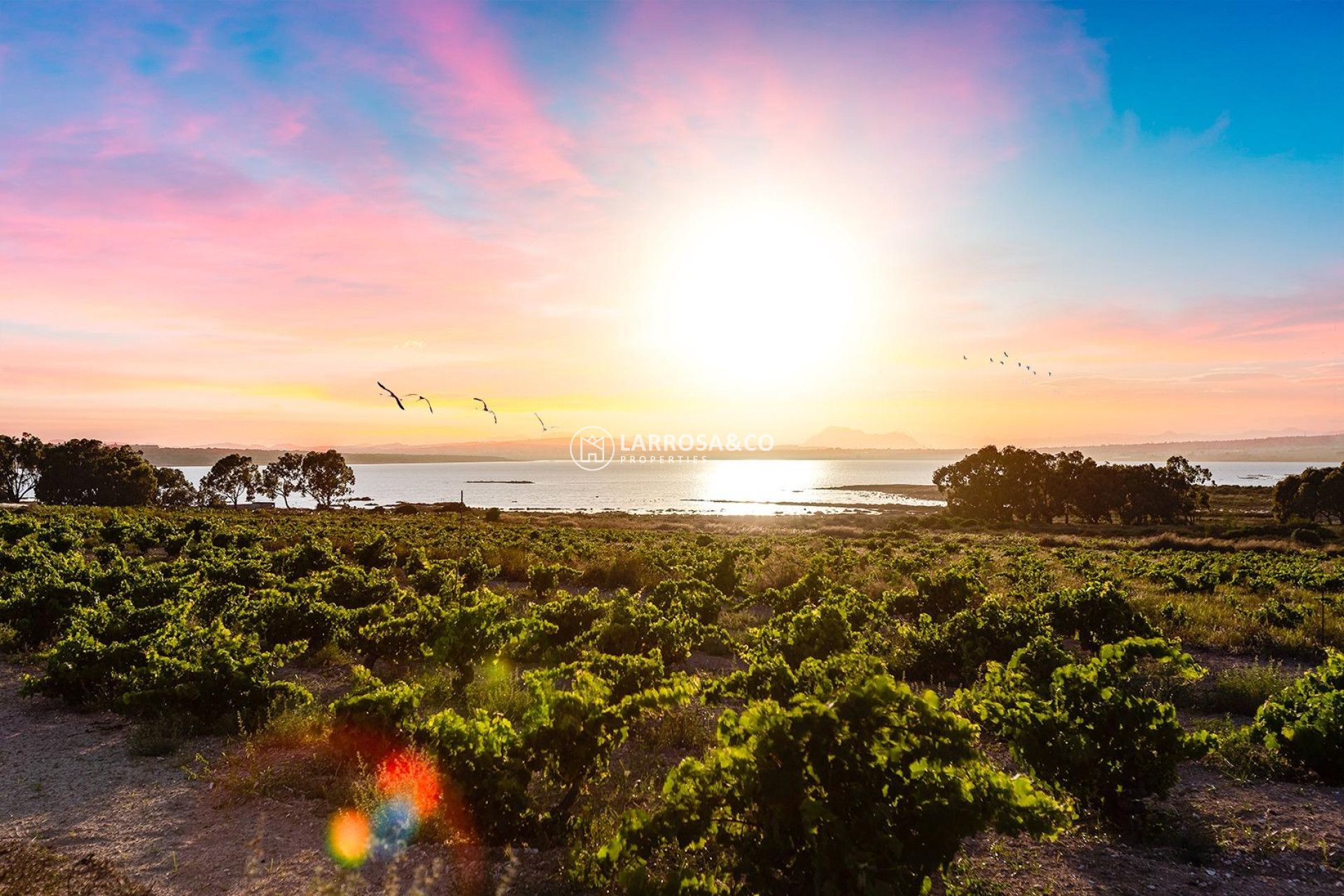 Resale - Semi-detached house - Torrevieja - El limonar