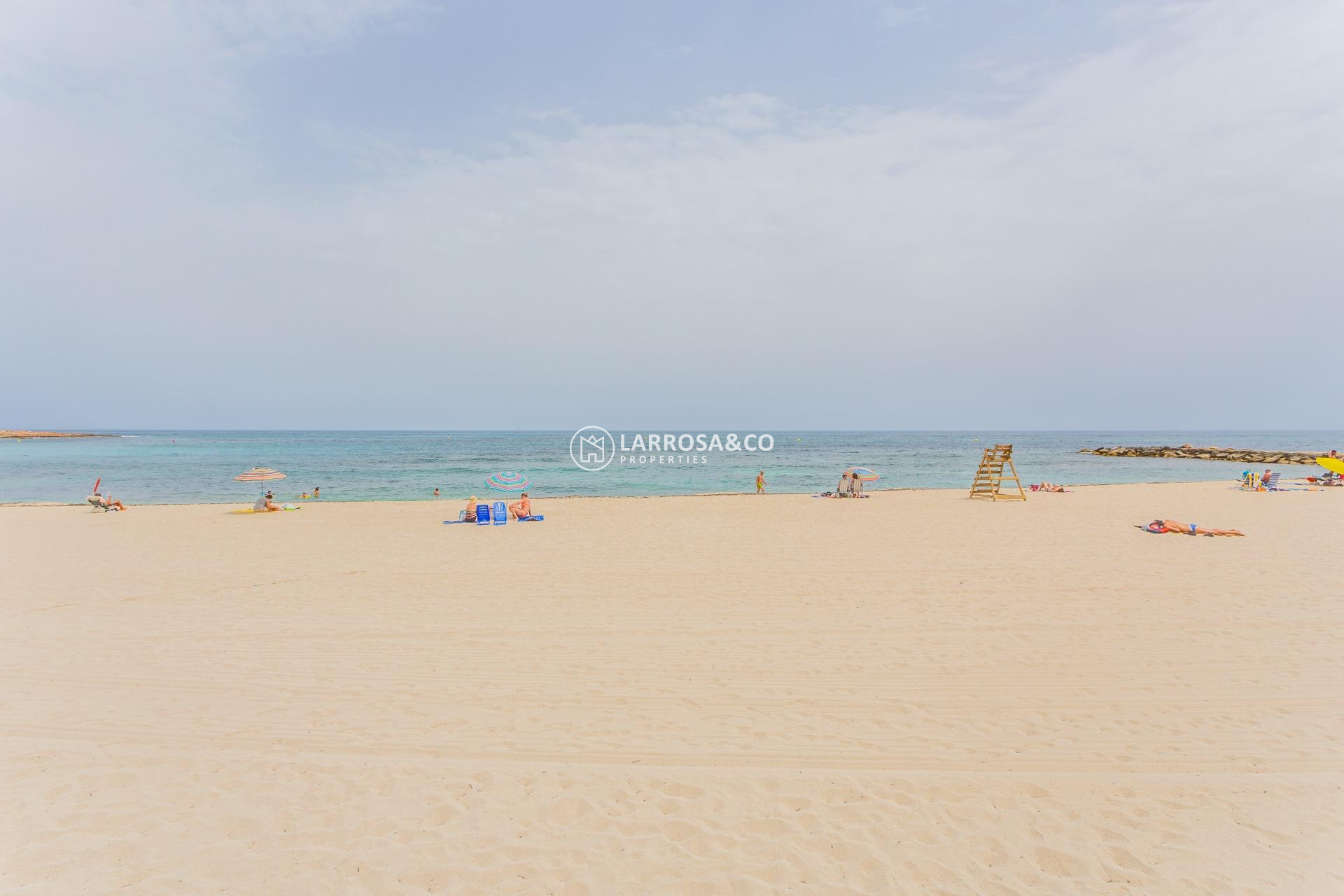 Resale - Semi-detached house - Torrevieja - Los Frutales