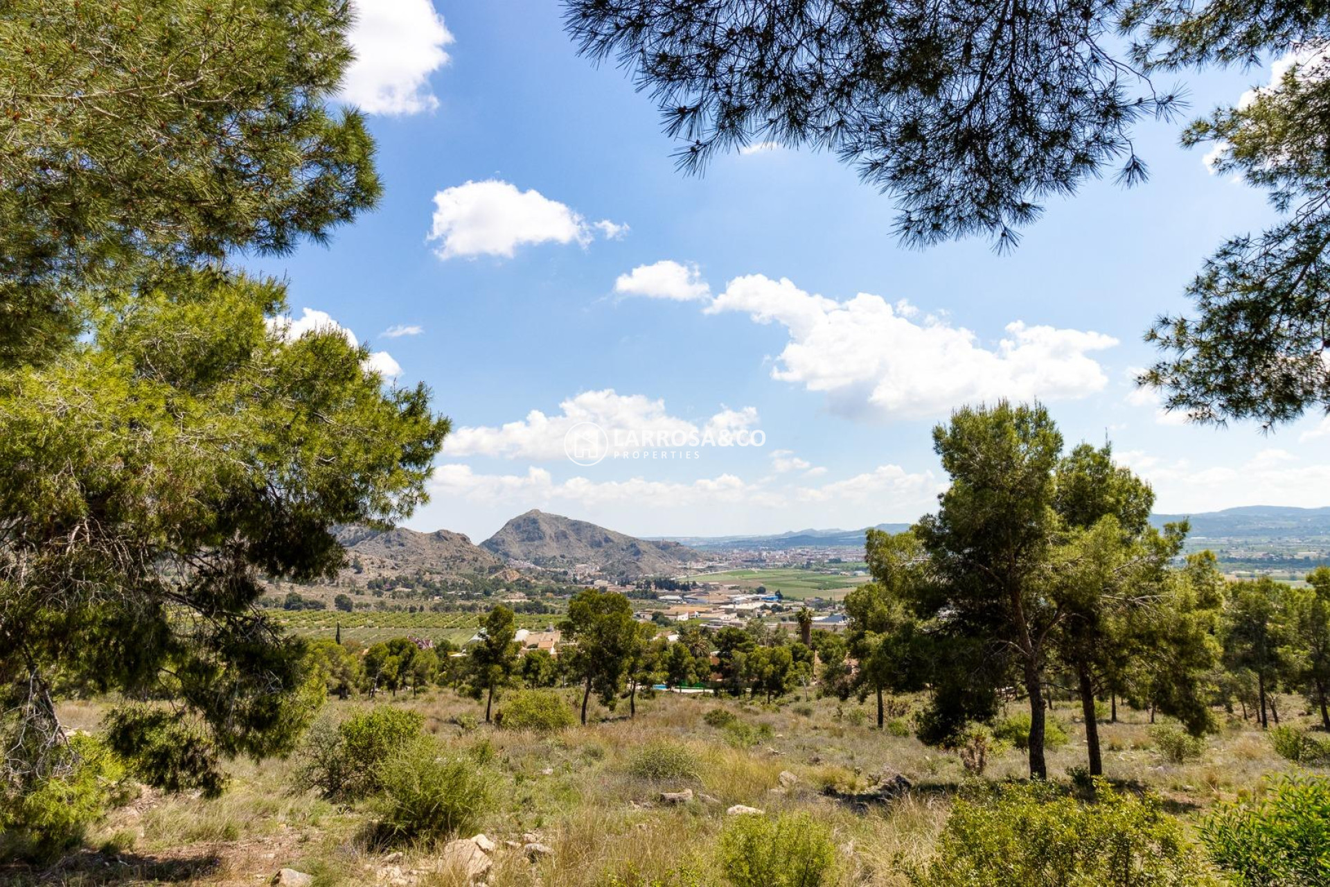 Reventa - Adosado - Callosa de Segura - C- FILARMONICA