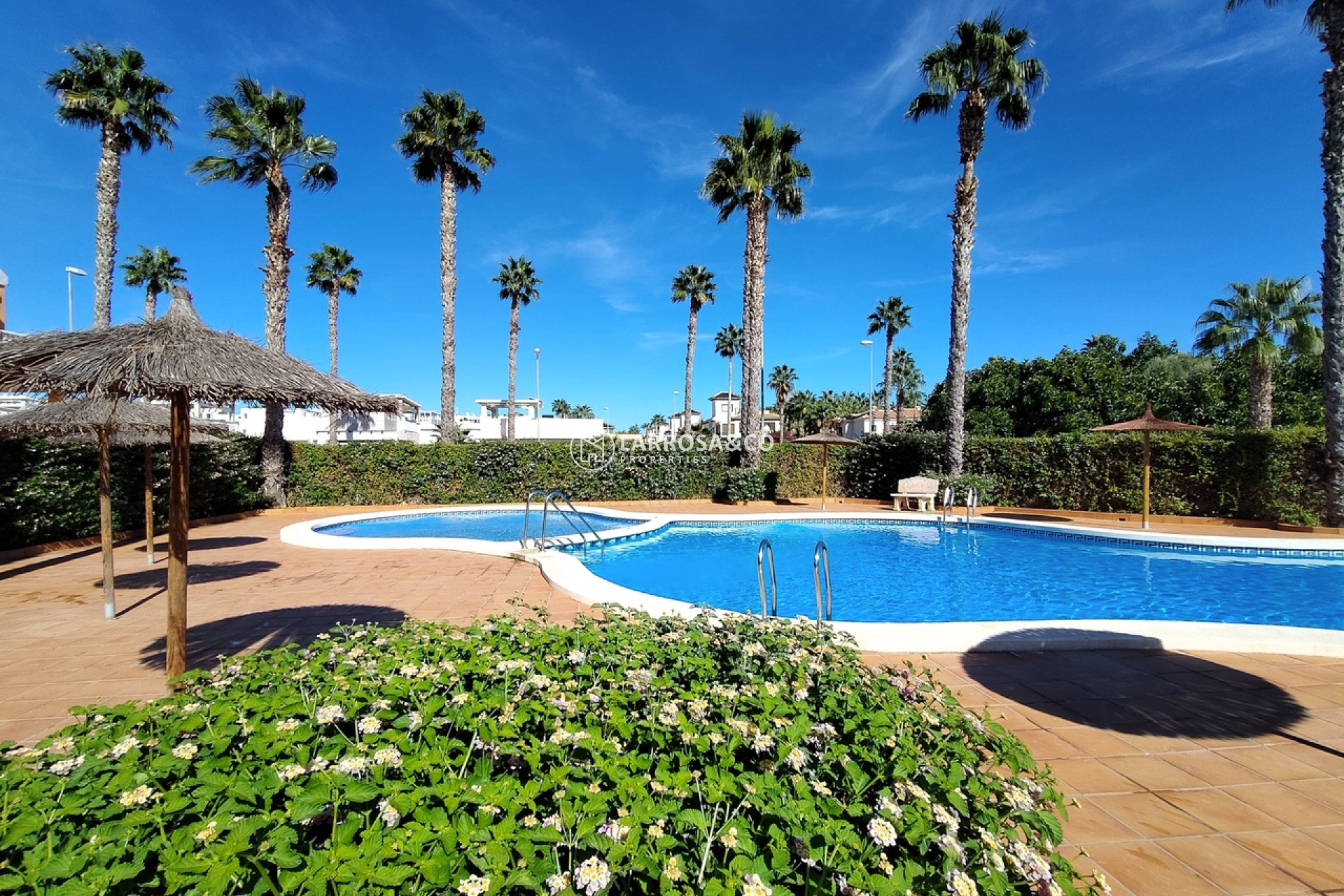 Reventa - Adosado - Ciudad Quesada - Costa Blanca