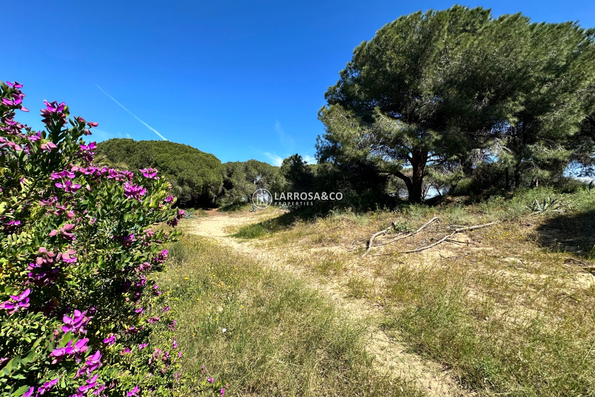 Reventa - Adosado - Guardamar del Segura - Costa Blanca