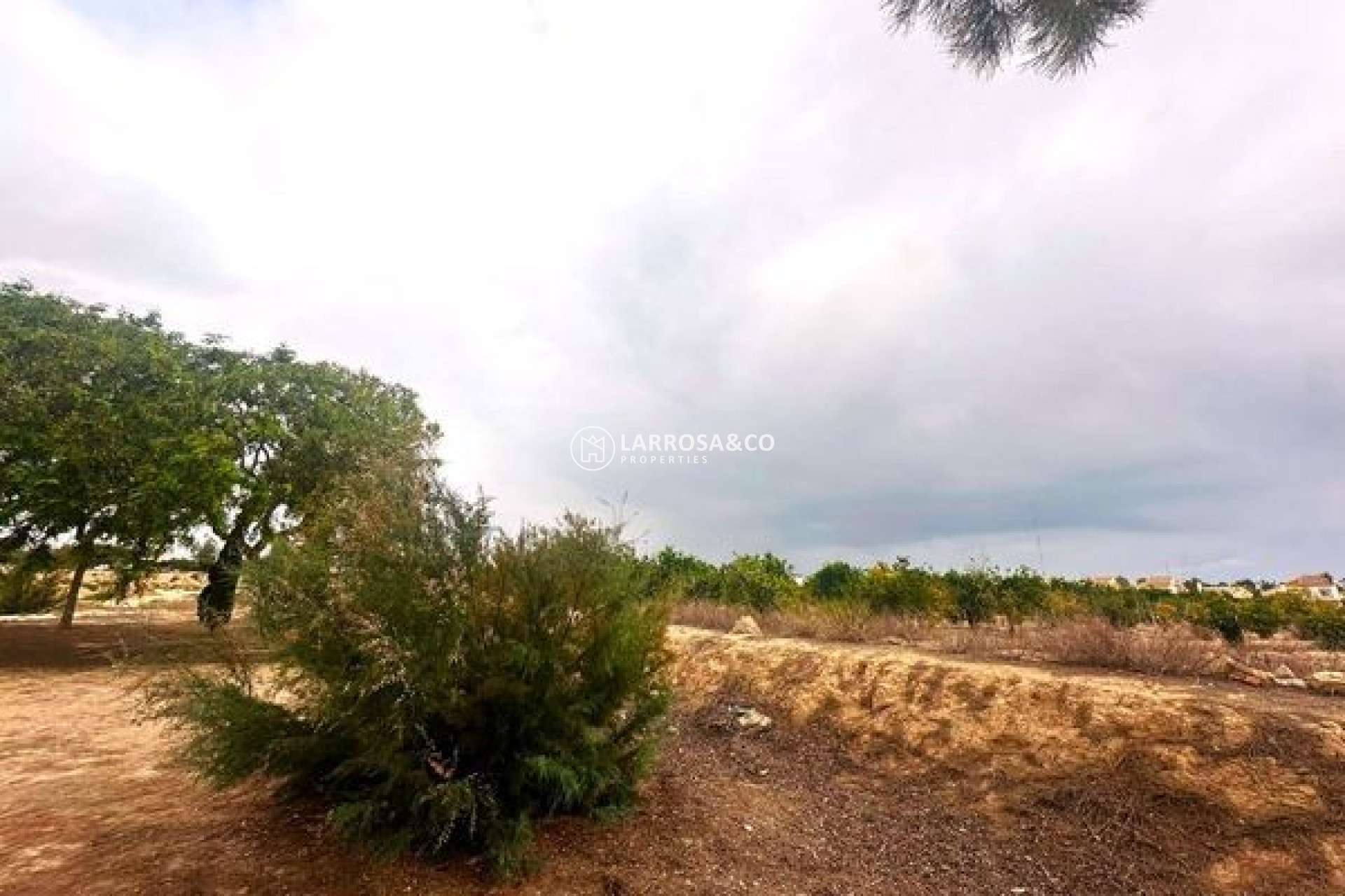 Reventa - Adosado - Guardamar del Segura - El Raso