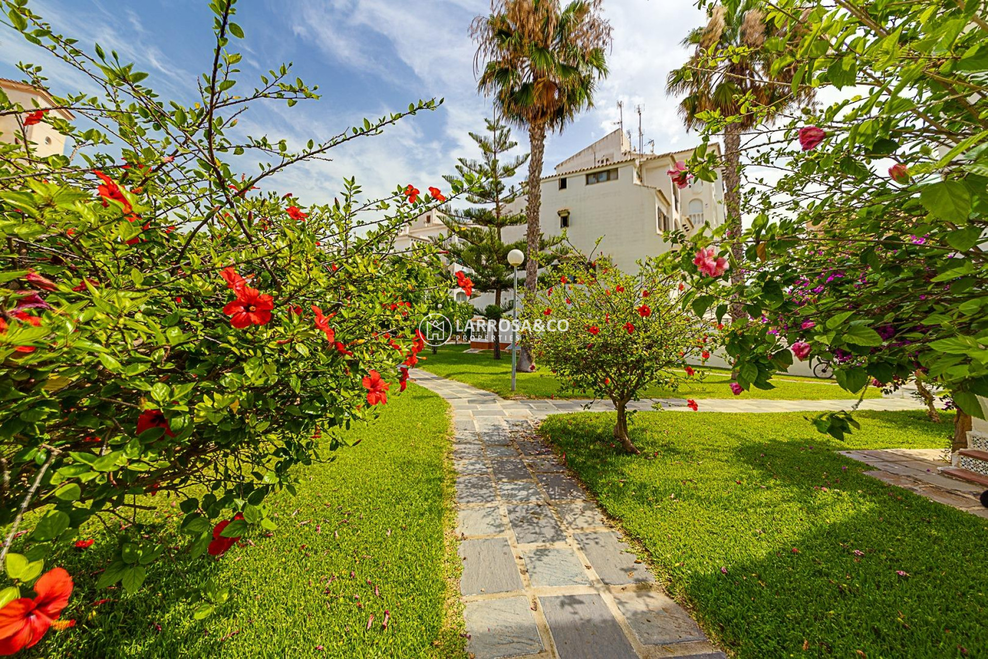 Reventa - Adosado - Torrevieja - Calas blanca