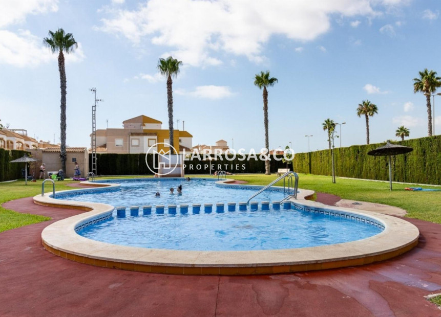 Reventa - Adosado - Torrevieja - El limonar