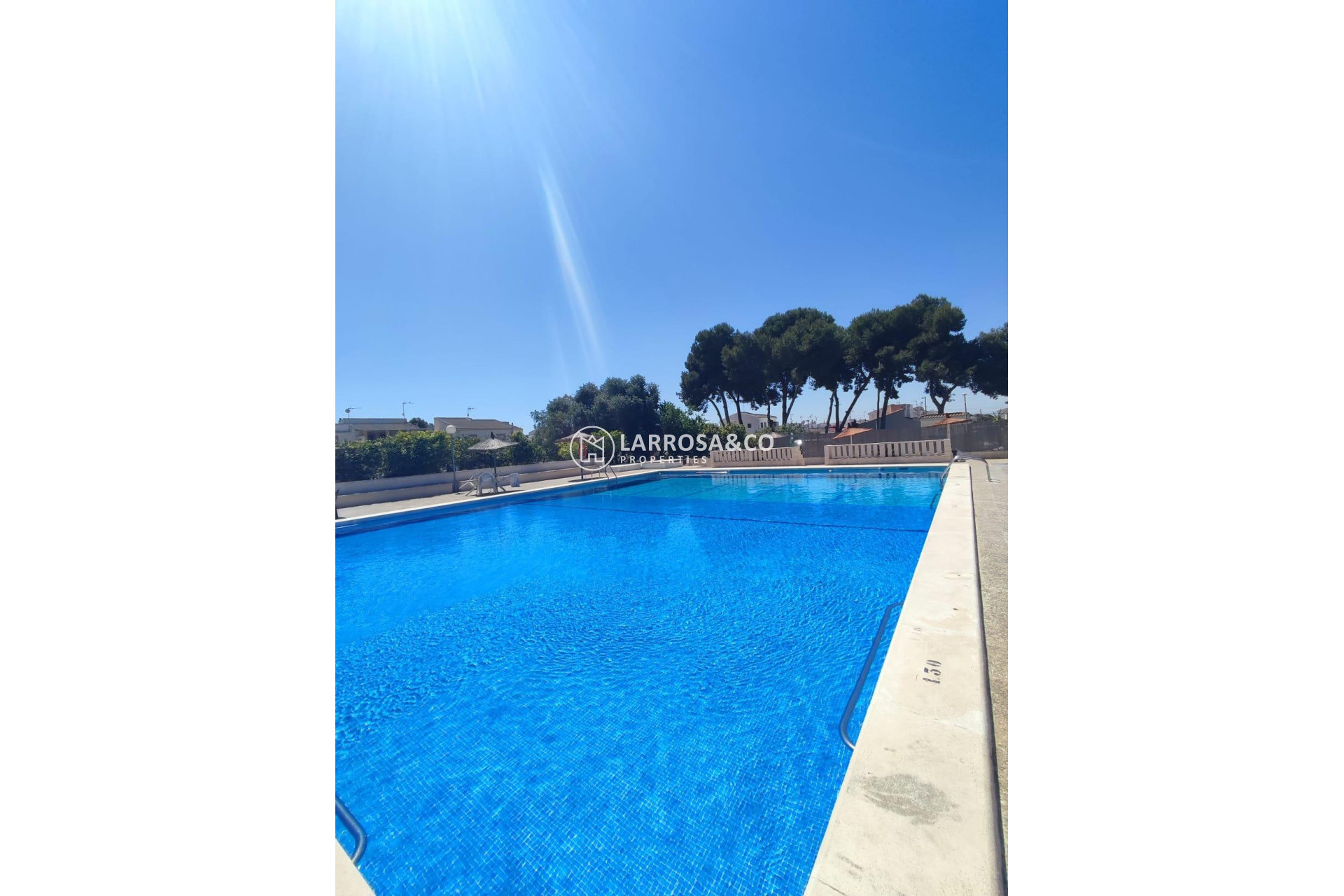 Reventa - Adosado - Torrevieja - El limonar