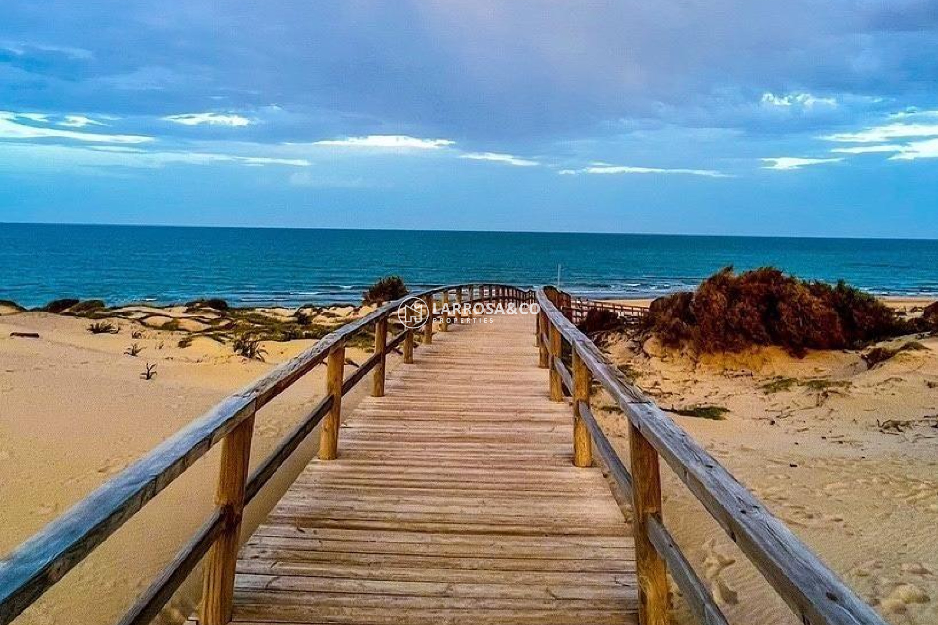 Reventa - Adosado - Torrevieja - El limonar