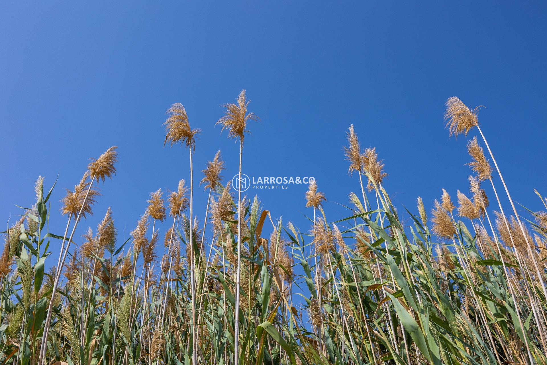 Reventa - Adosado - Torrevieja - Paraje natural