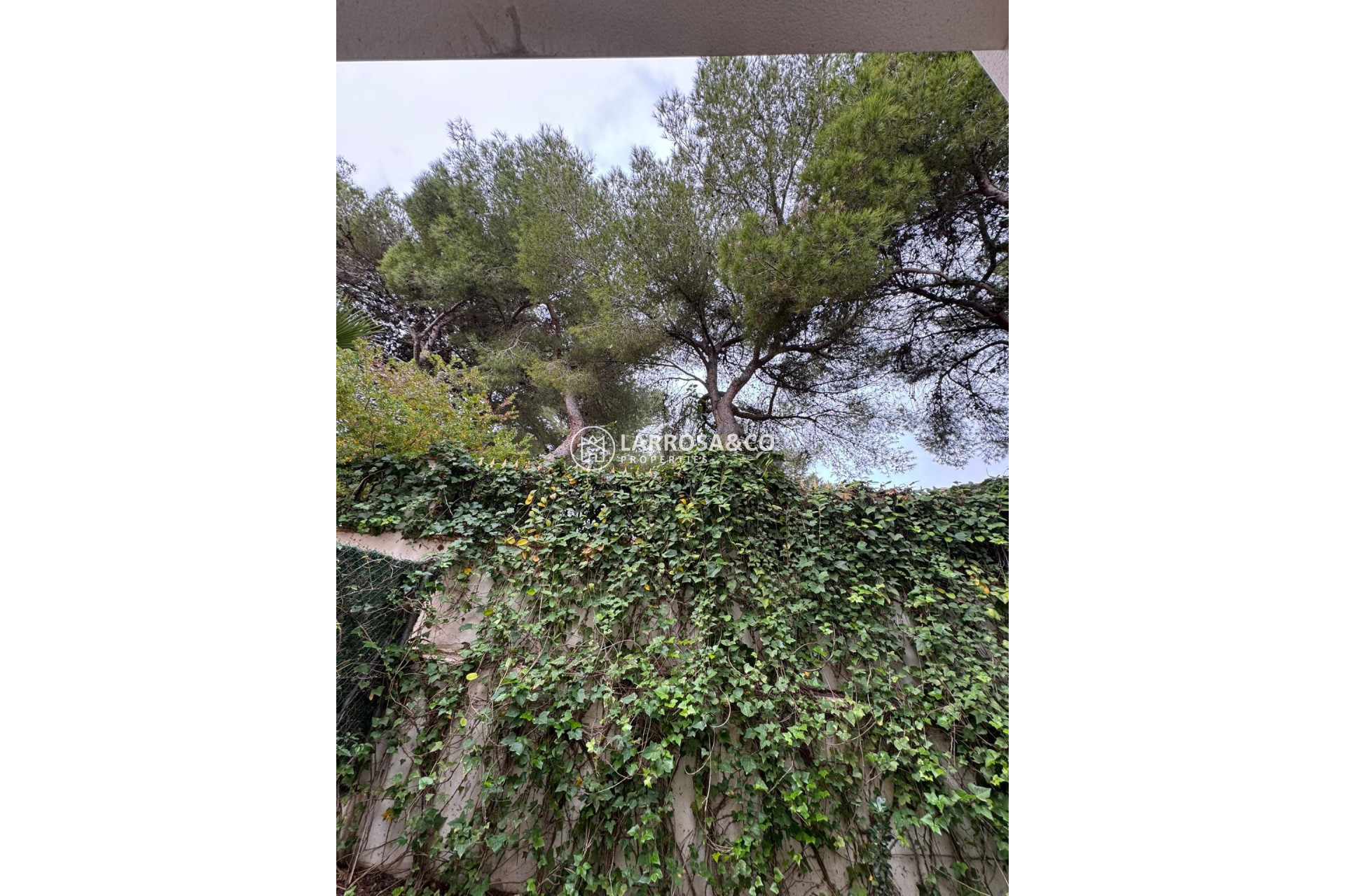 Reventa - Adosado - Torrevieja - Punta Prima