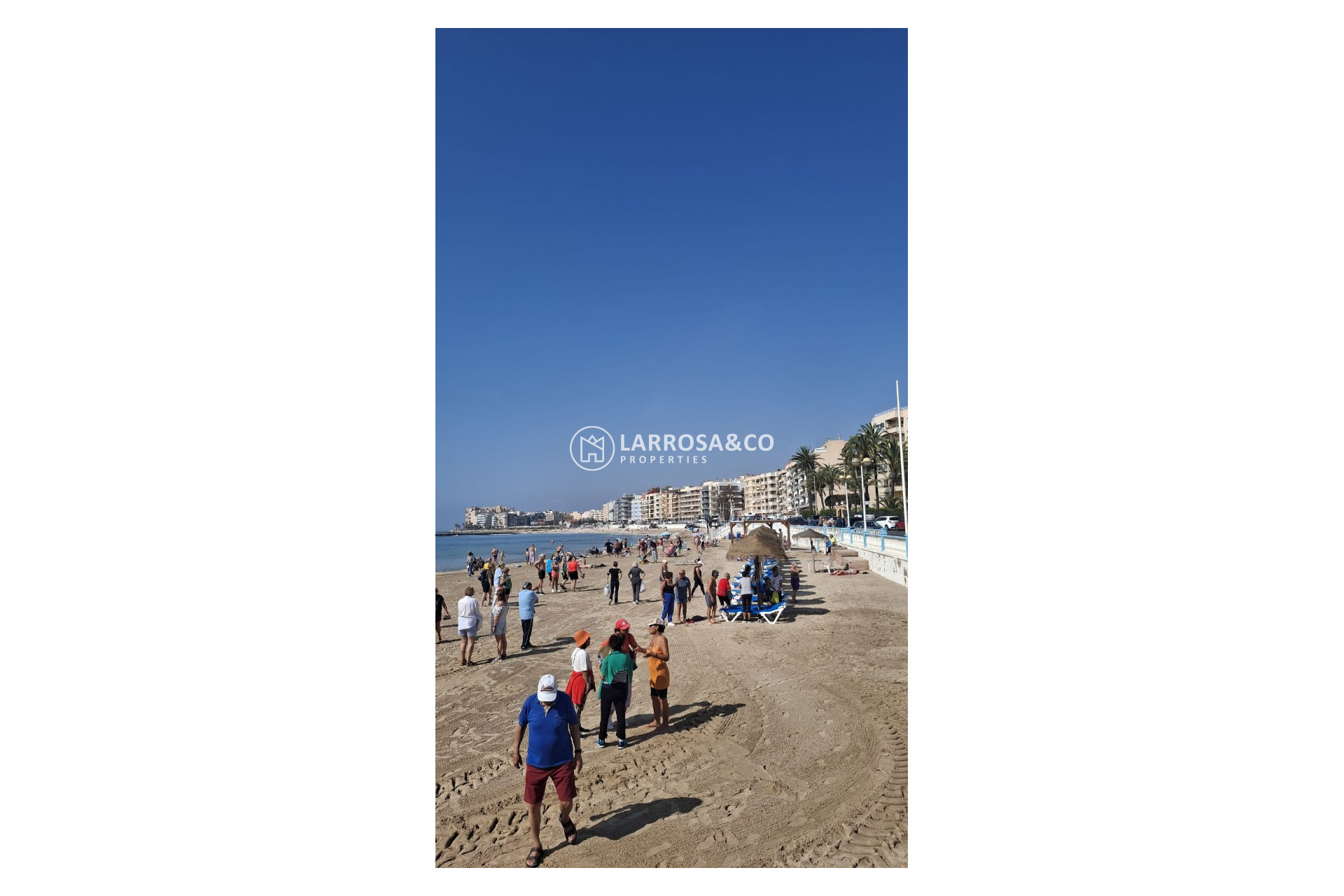 Reventa - Apartament / Duplex - Torrevieja - Playa de los locos