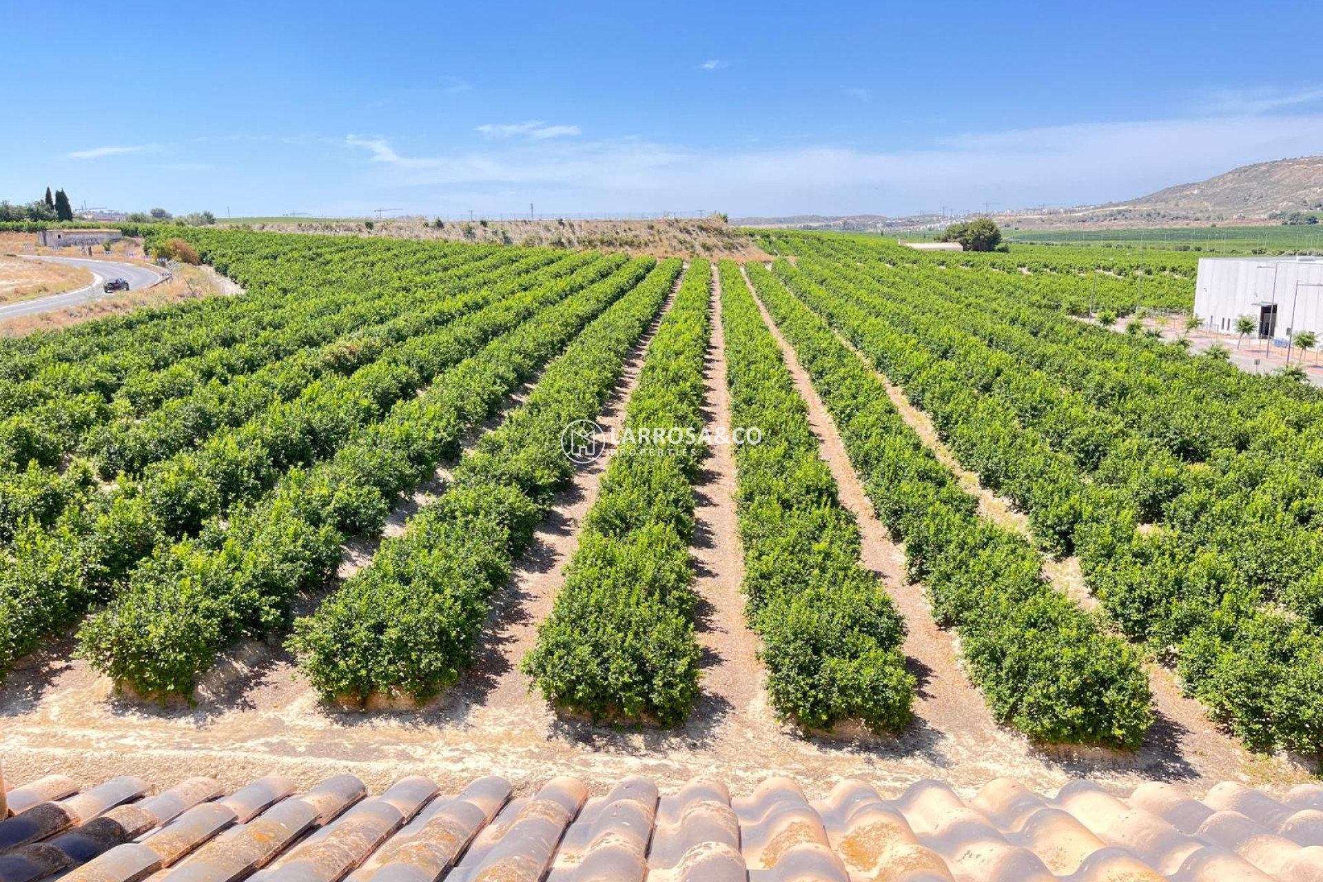 Reventa - Apartamento - Algorfa - Inland