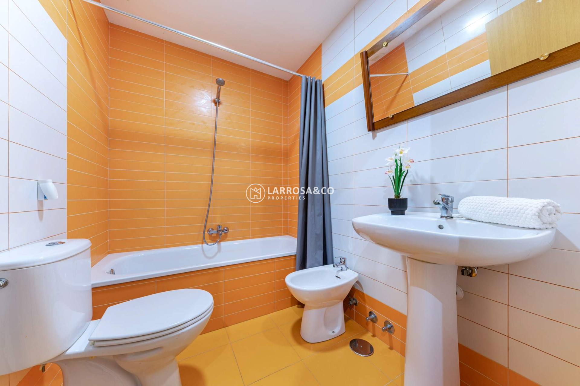 Reventa - Apartamento - Alicante - Carolinas Bajas