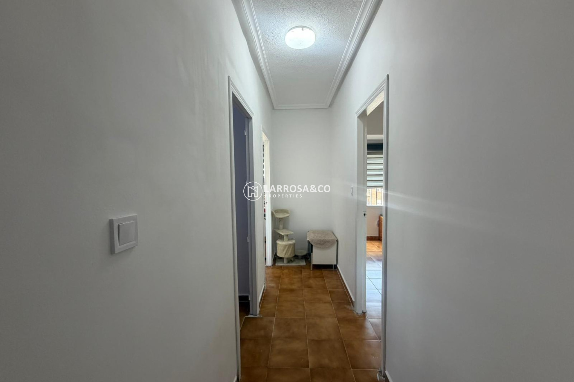 Reventa - Apartamento - Almoradí