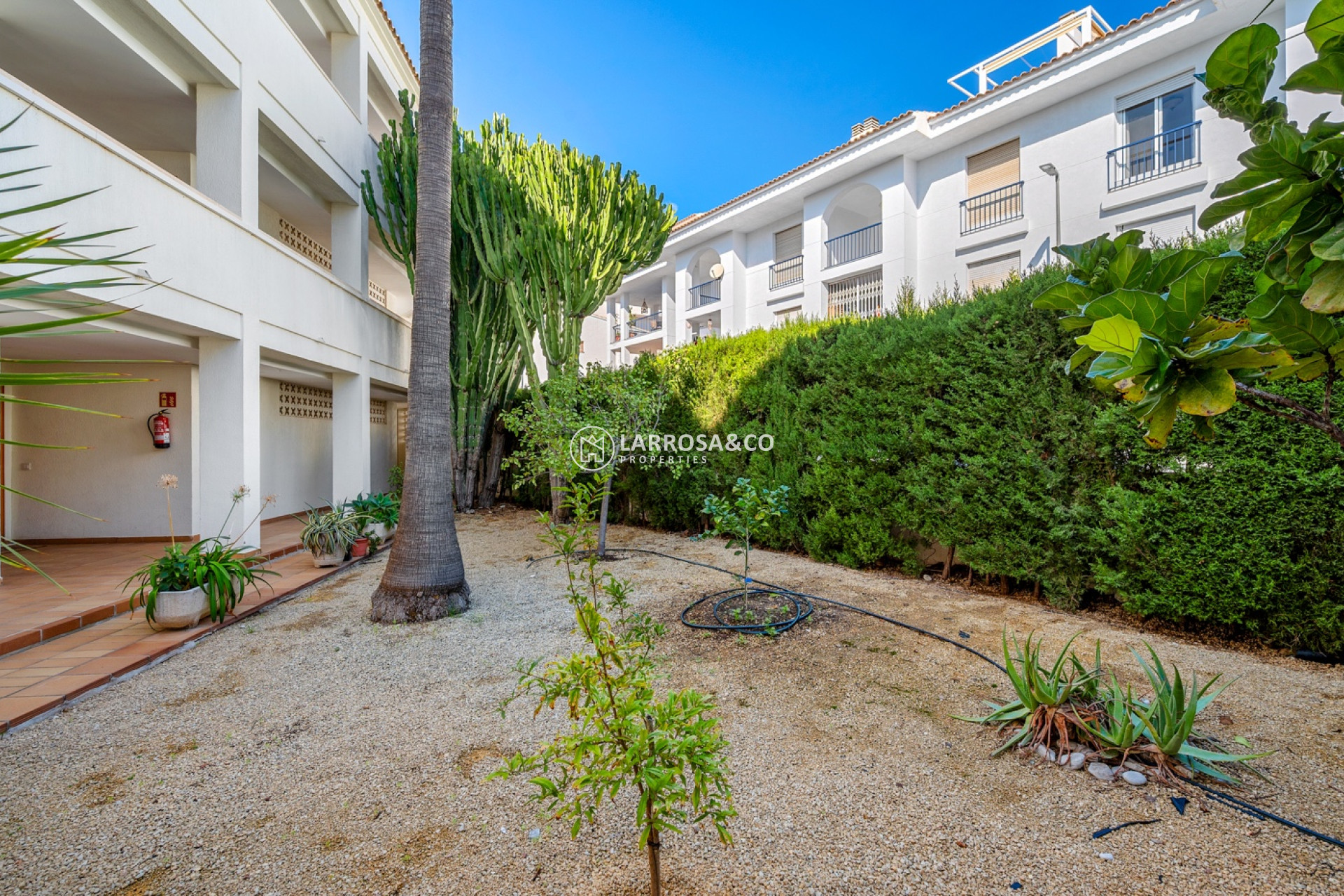 Reventa - Apartamento - Altea